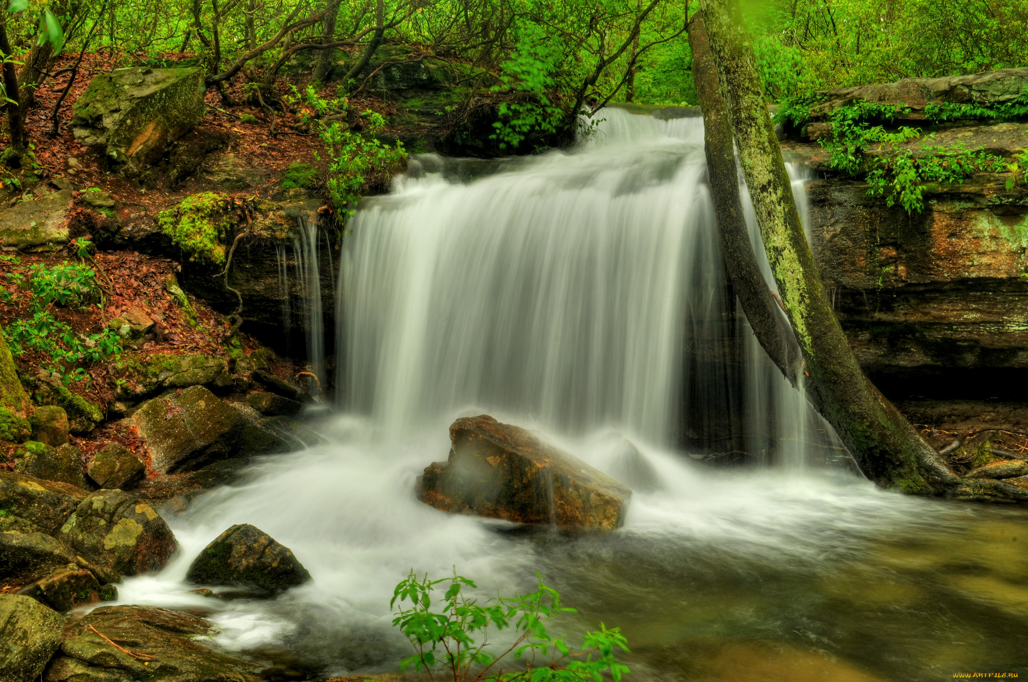 природа, водопады, лес, река, водопад