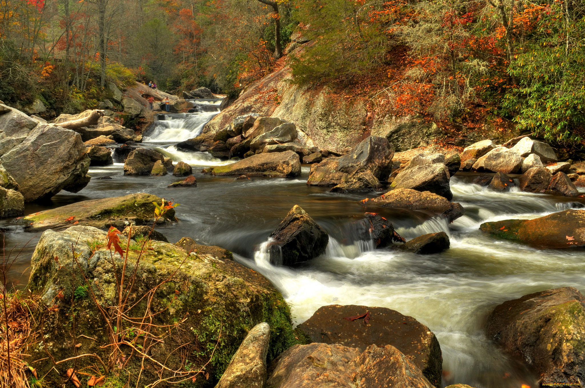 природа, водопады, водопад, река, лес