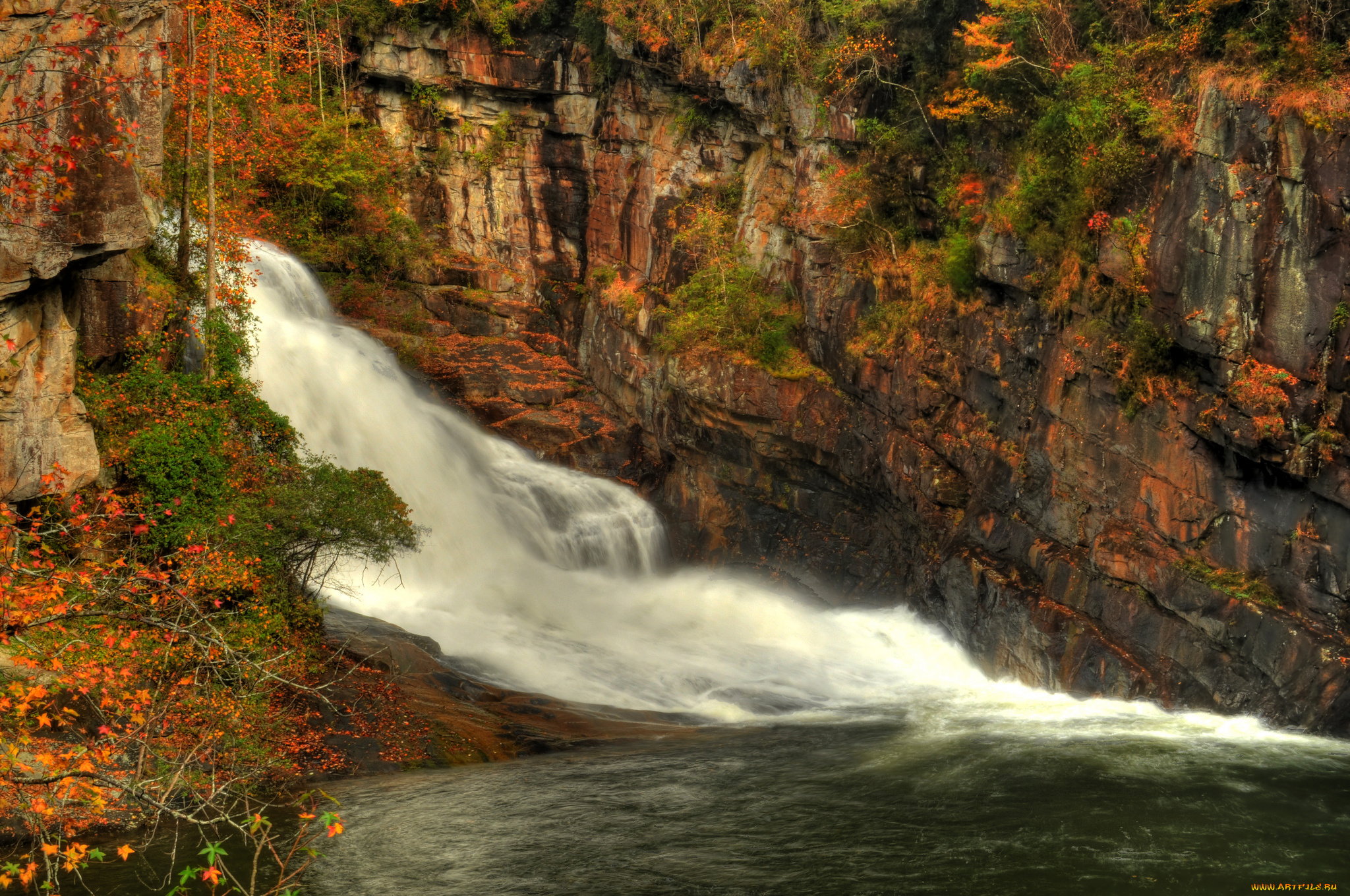 природа, водопады, лес, водопад, река