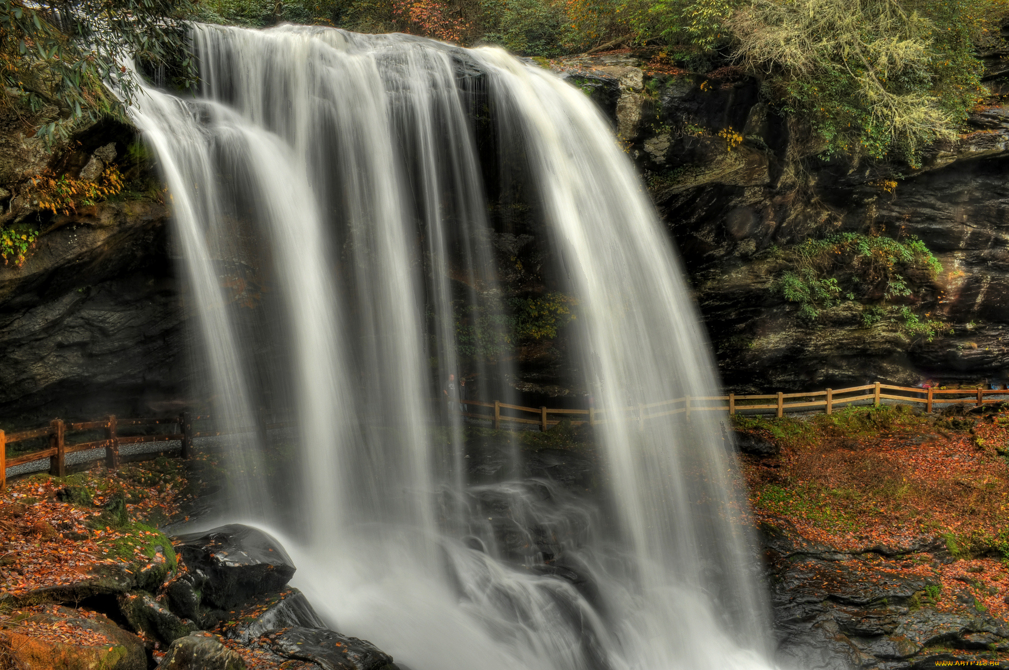 природа, водопады, река, лес, водопад