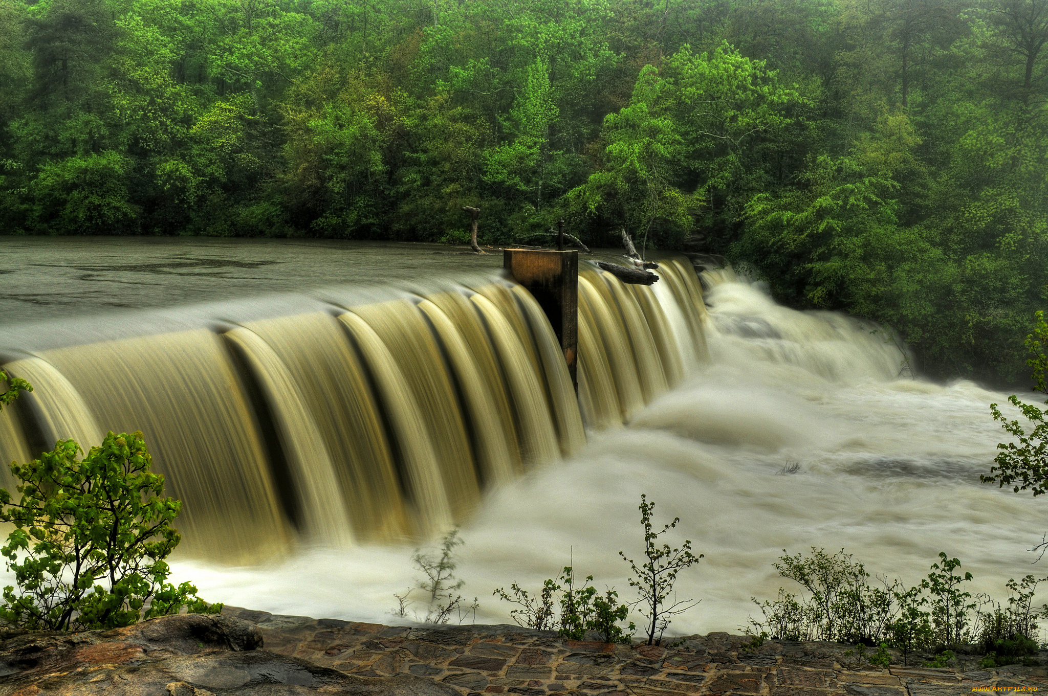 природа, водопады, лес, водопад, река