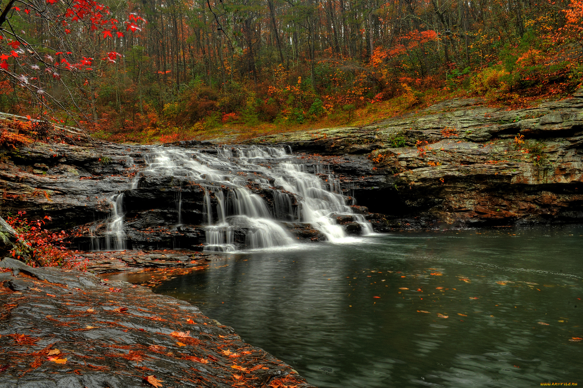 природа, водопады, водопад, лес, река