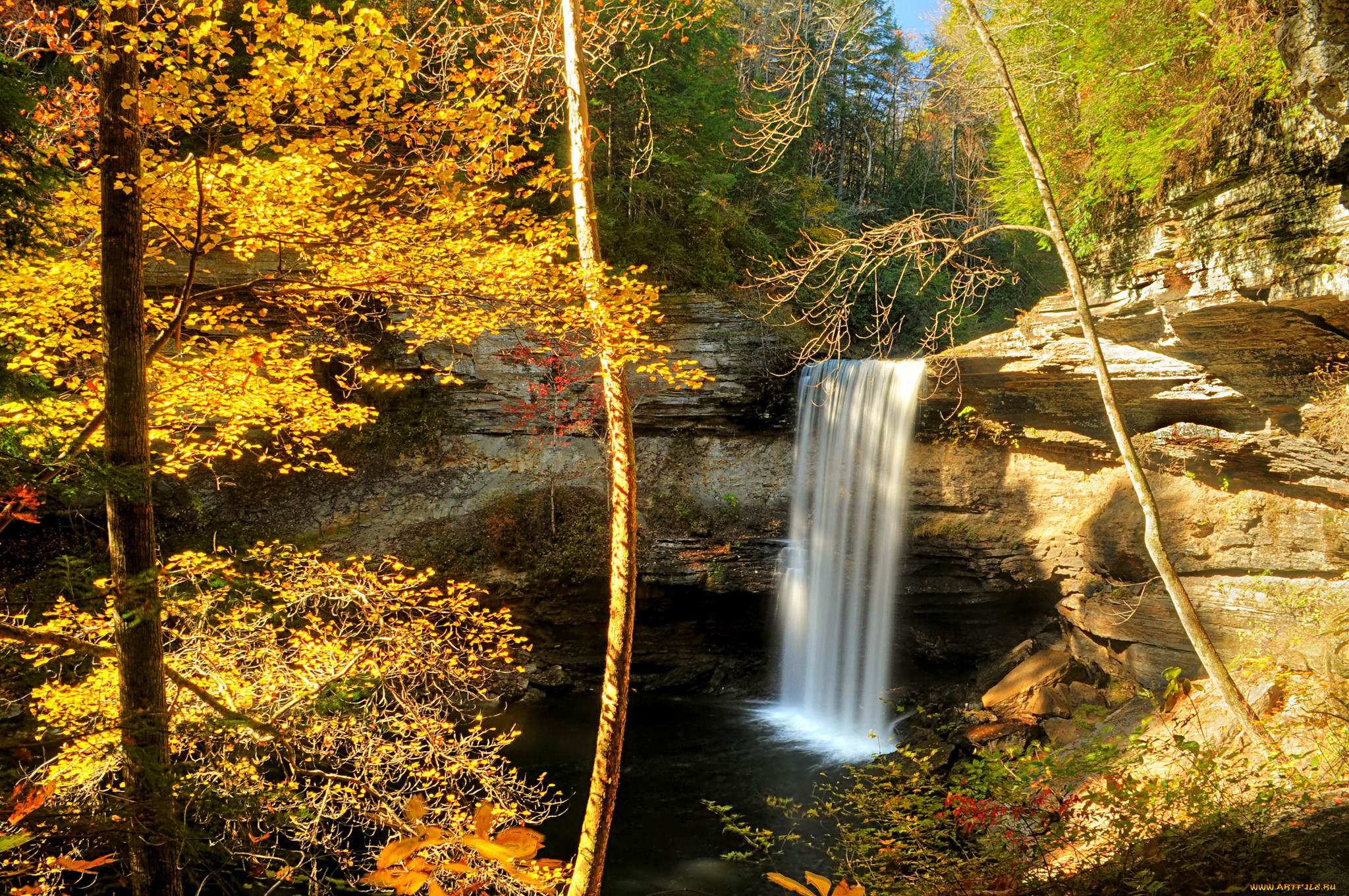 природа, водопады, водопад, река, лес