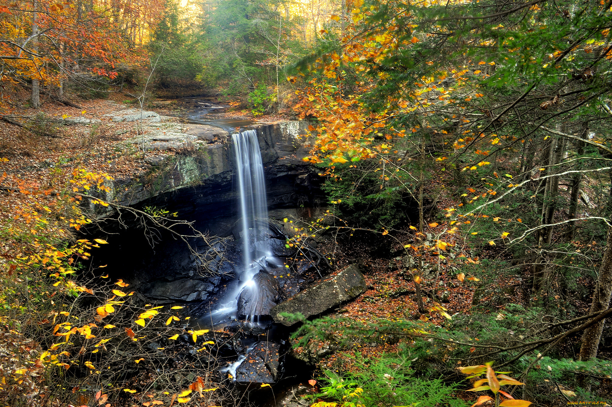 природа, водопады, водопад, река, лес