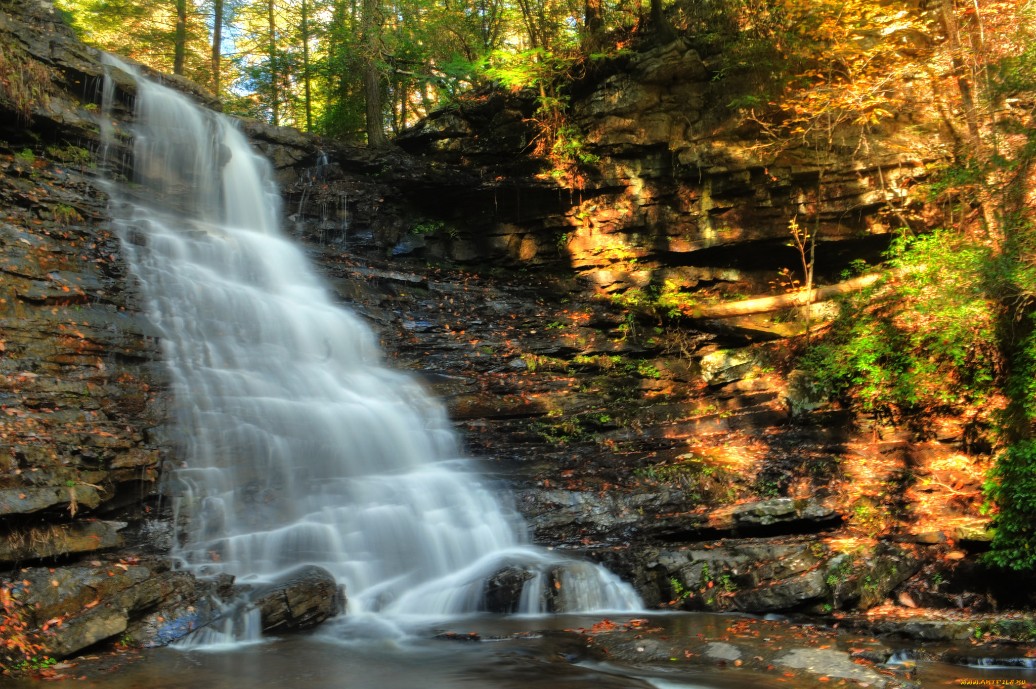 природа, водопады, водопад, река, лес