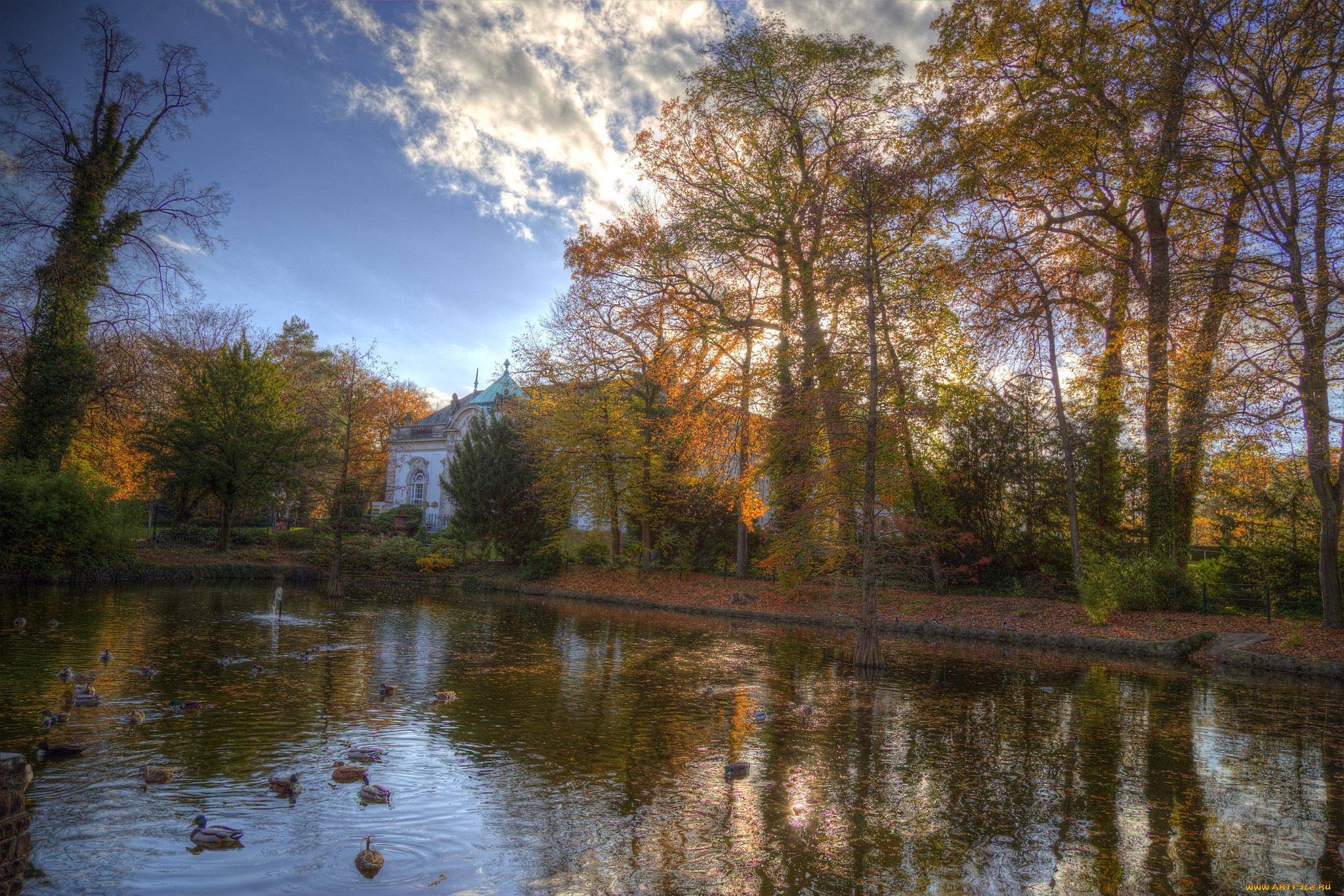 природа, парк, краски, осень