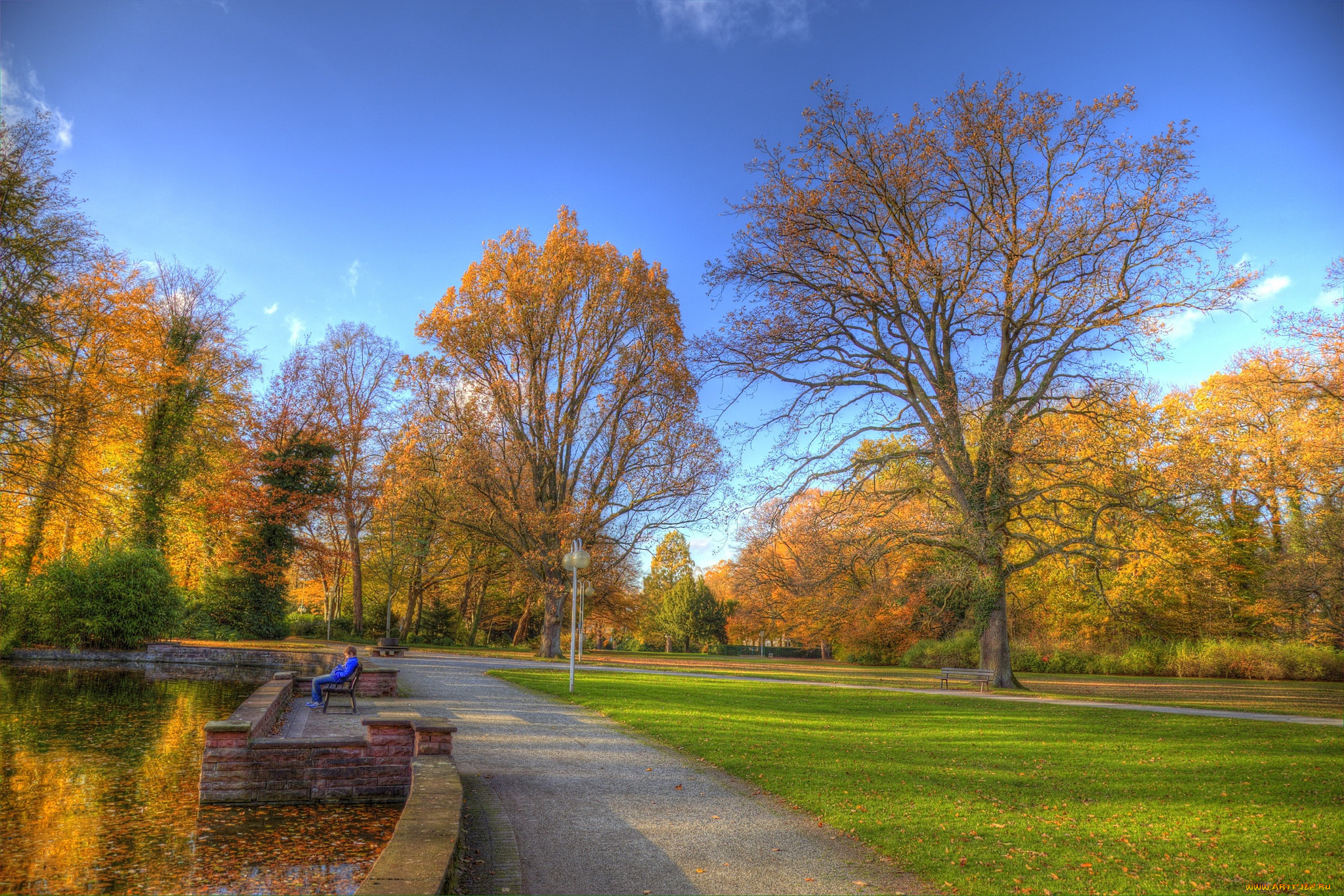 природа, парк, краски, осень