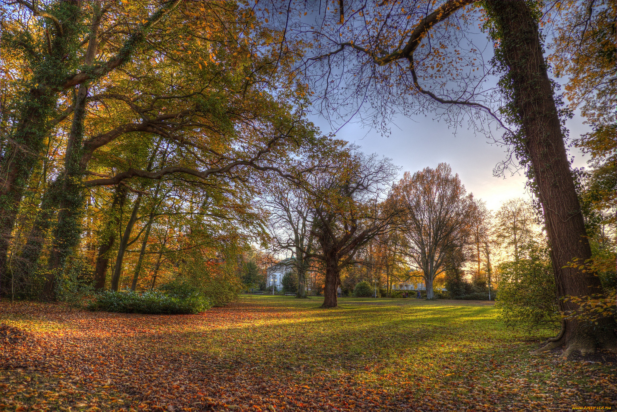 природа, парк, краски, осень