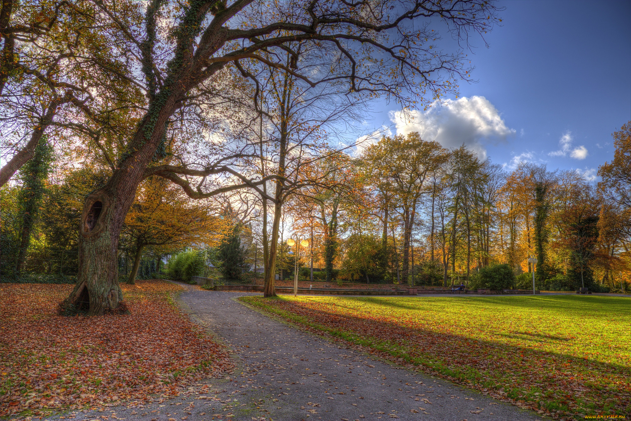 природа, парк, краски, осень