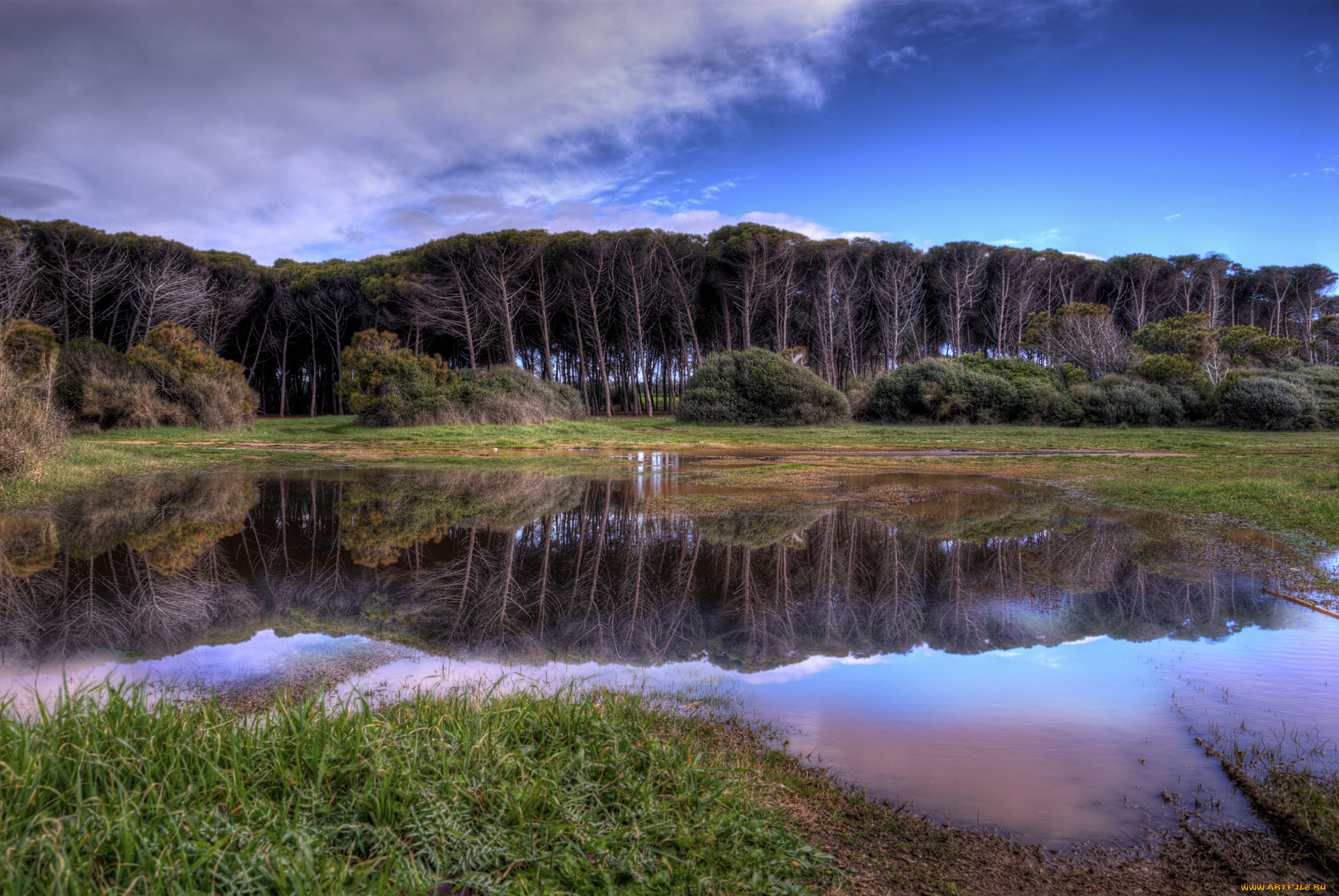 природа, реки, озера, река, отражение, деревья
