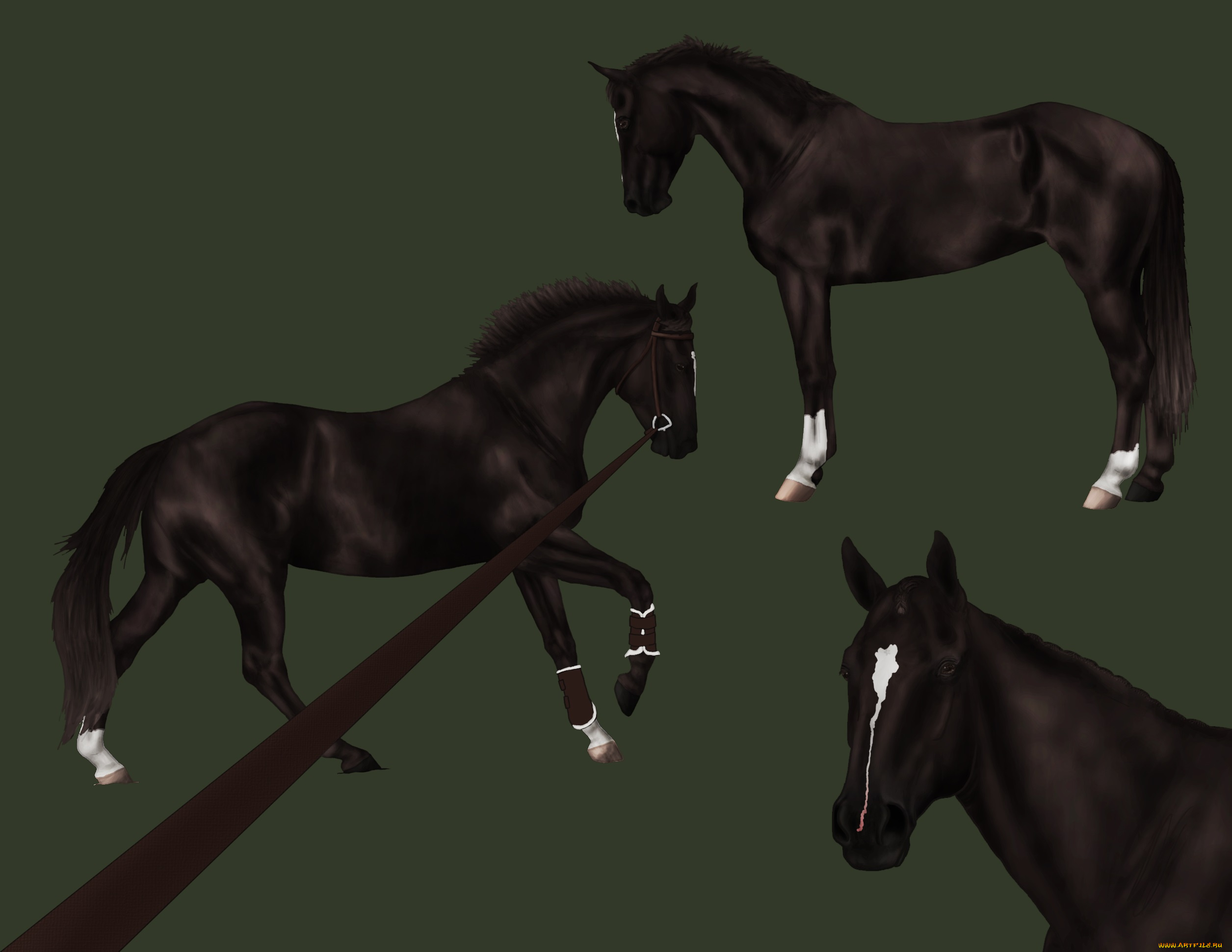 рисованное, животные, , лошади, фон, лошади