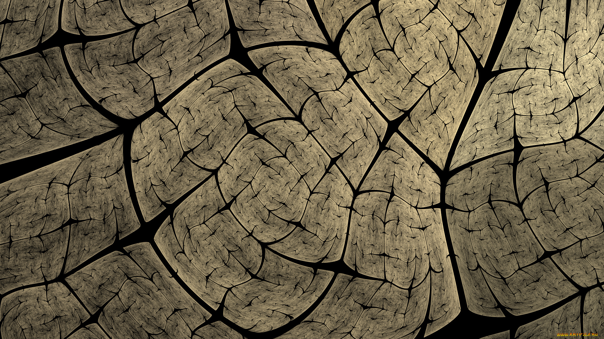 3д, графика, абстракция, , abstract, узор, фон, цвета