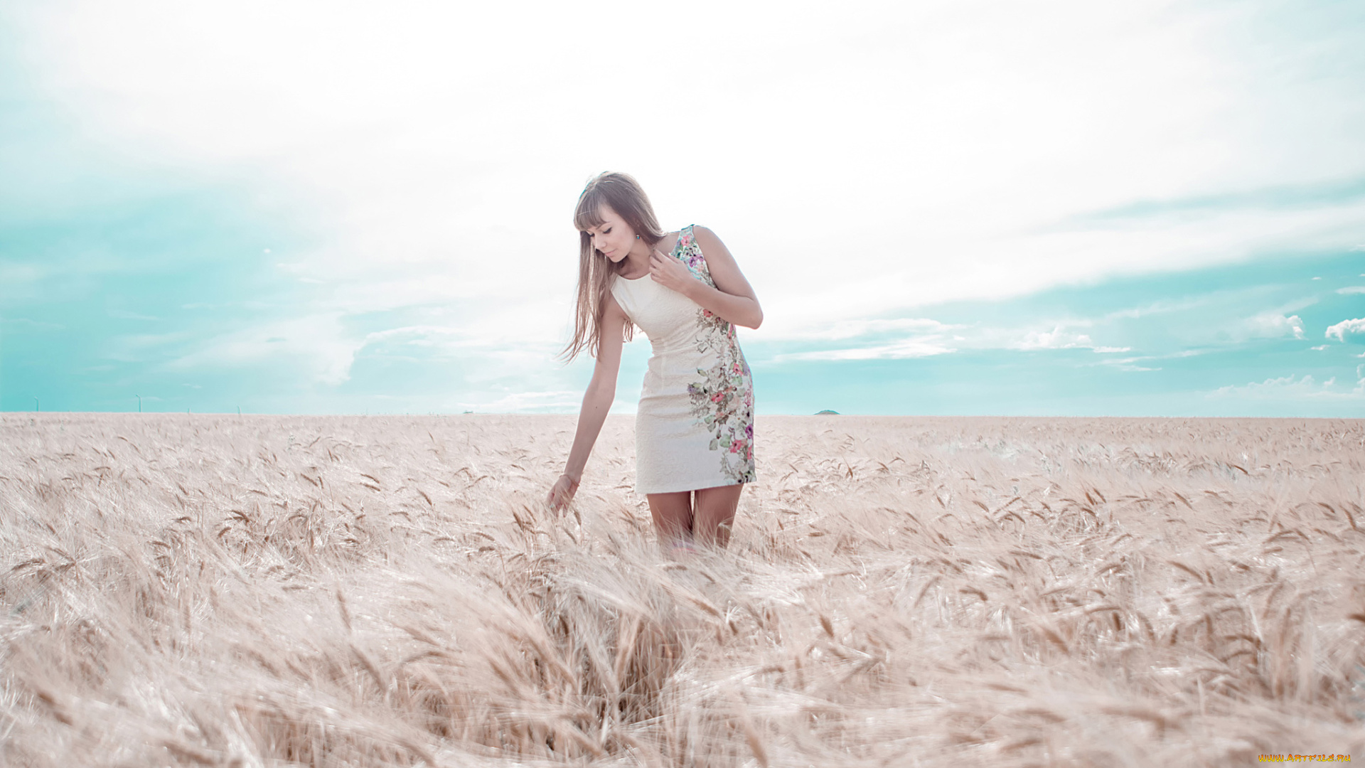 девушки, -unsort, , брюнетки, , шатенки, колосья, платье, поле, девушка