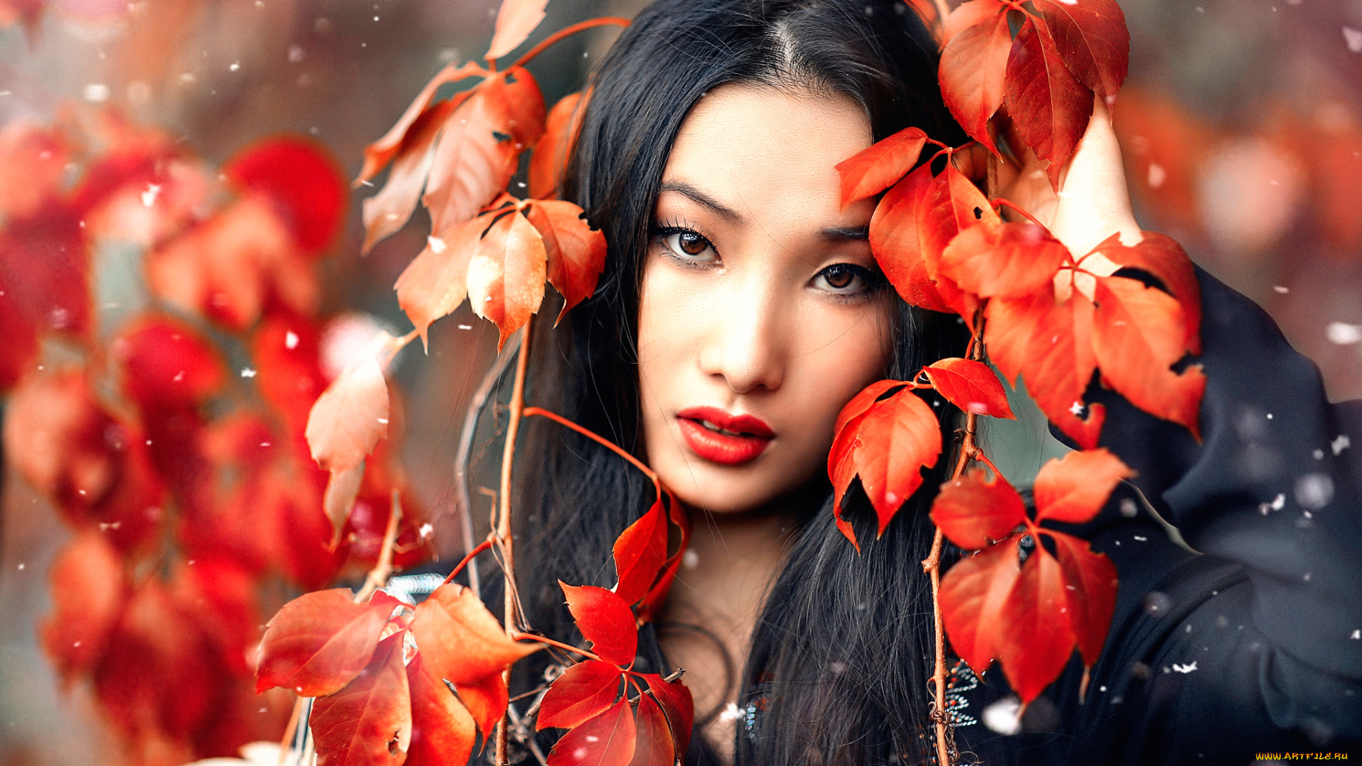 девушки, alessandro, di, cicco, снег, макияж, листья, alessandro, di, cicco, huan