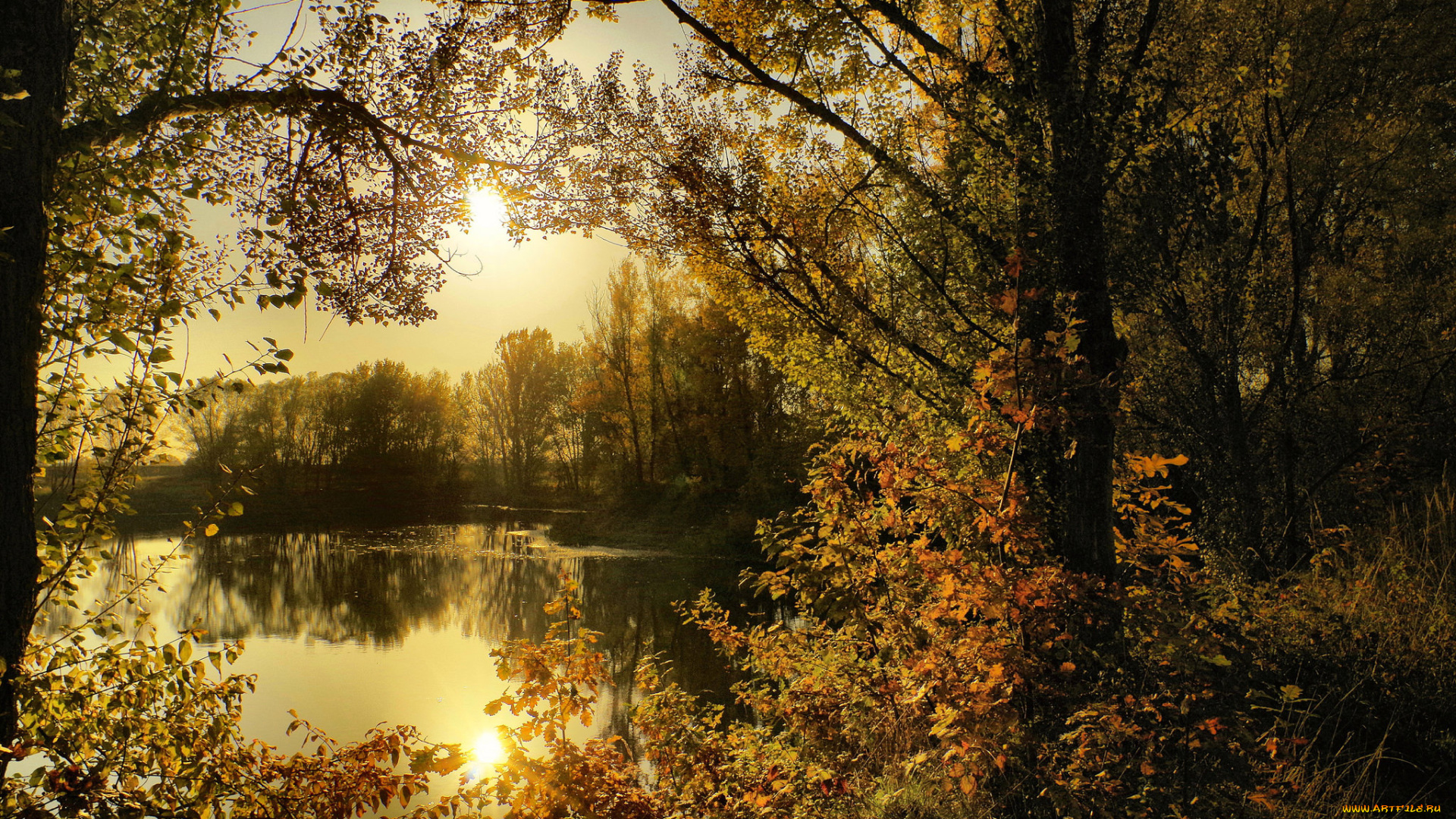 природа, реки, озера, река, лес