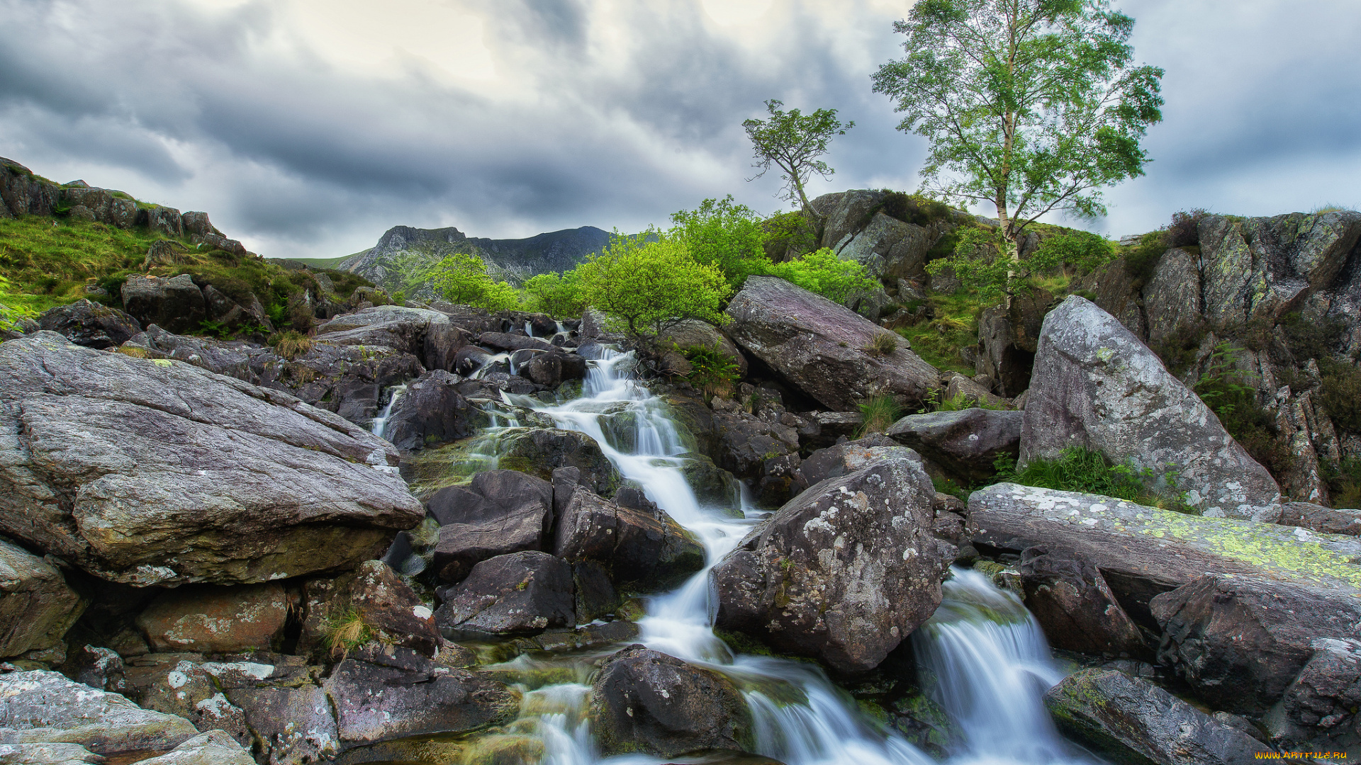 природа, реки, озера, река, лес