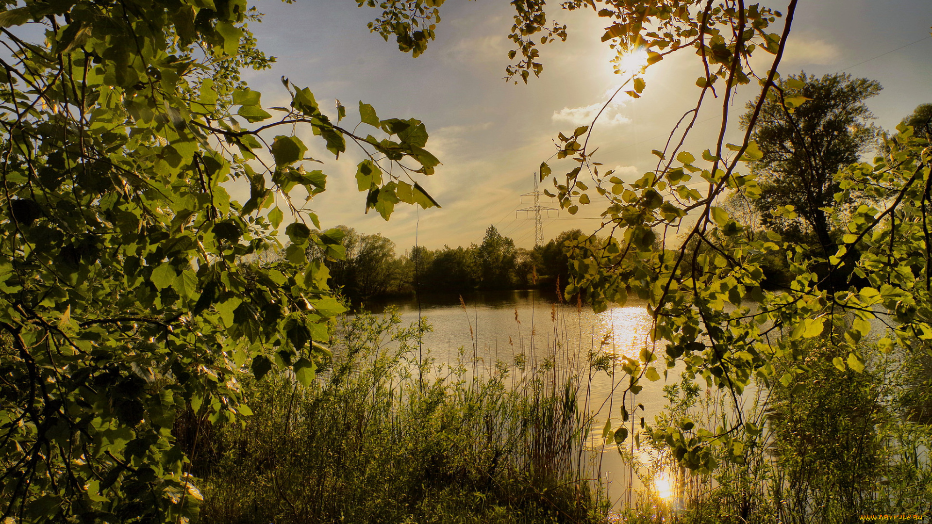 природа, реки, озера, река, лес