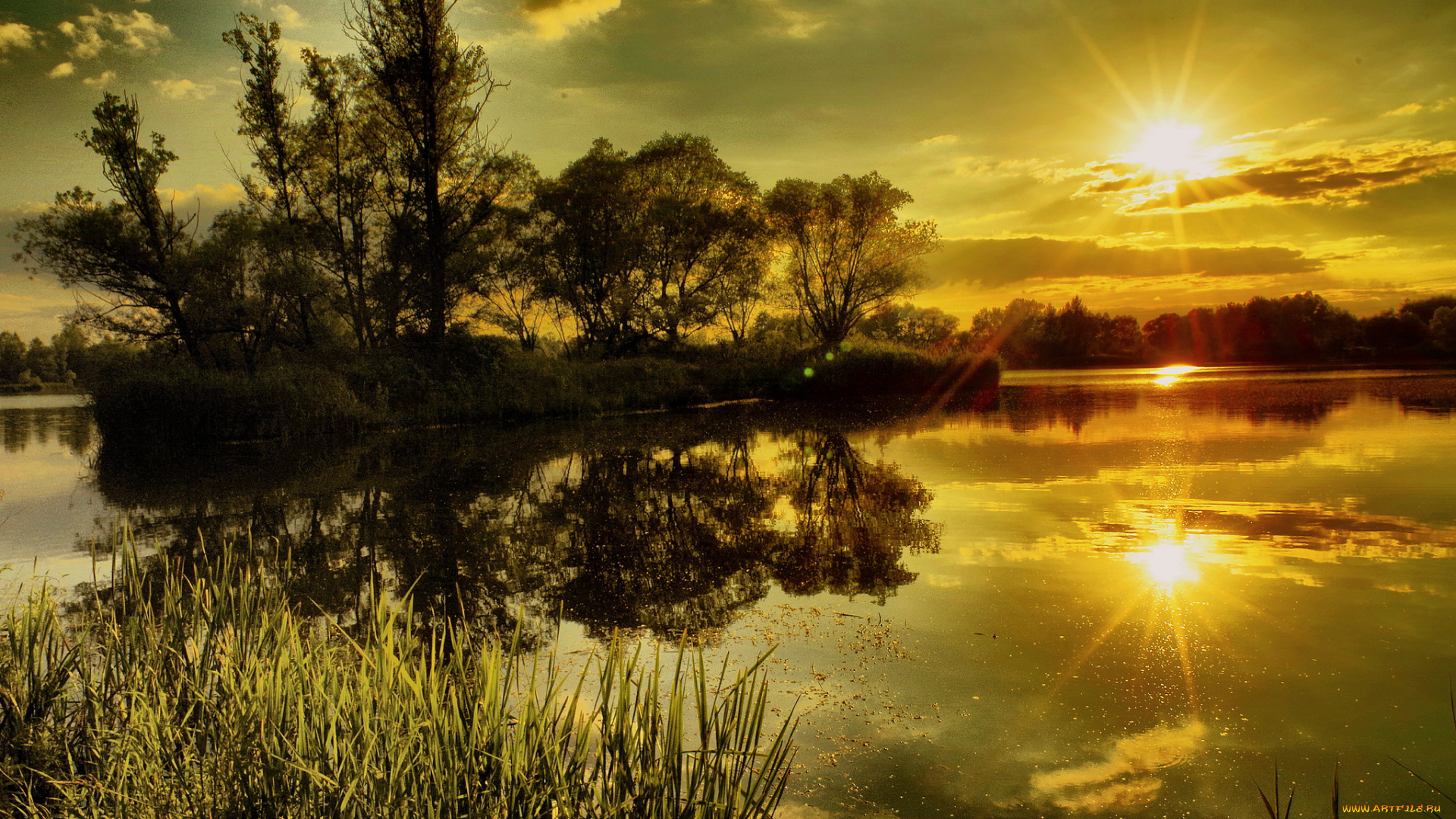 природа, восходы, закаты, лес, река