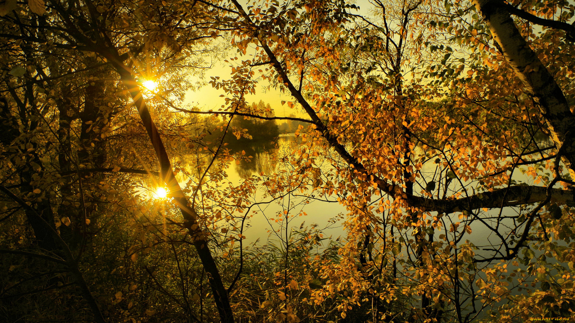 природа, восходы, закаты, лес, река