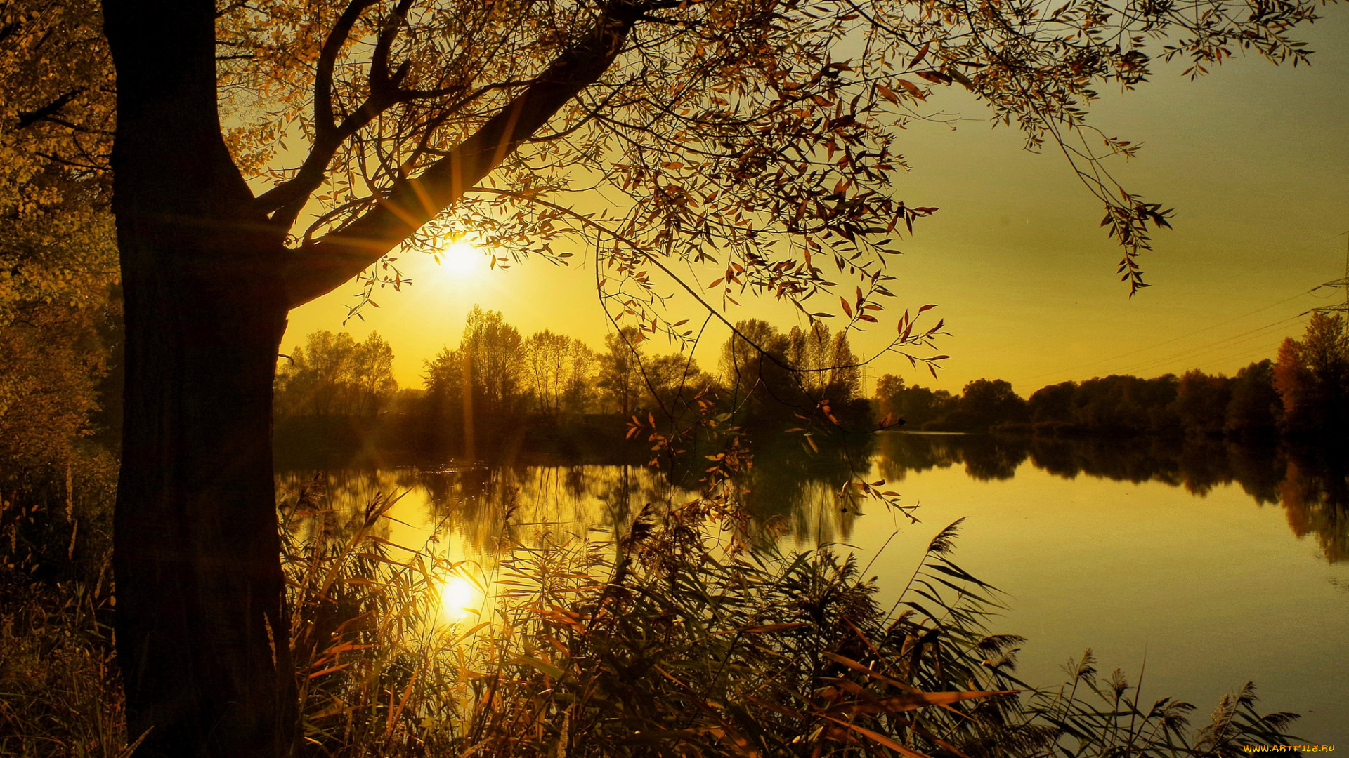 природа, восходы, закаты, река, лес