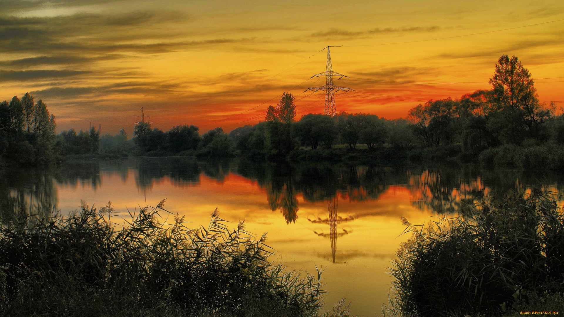 природа, восходы, закаты, река, лес