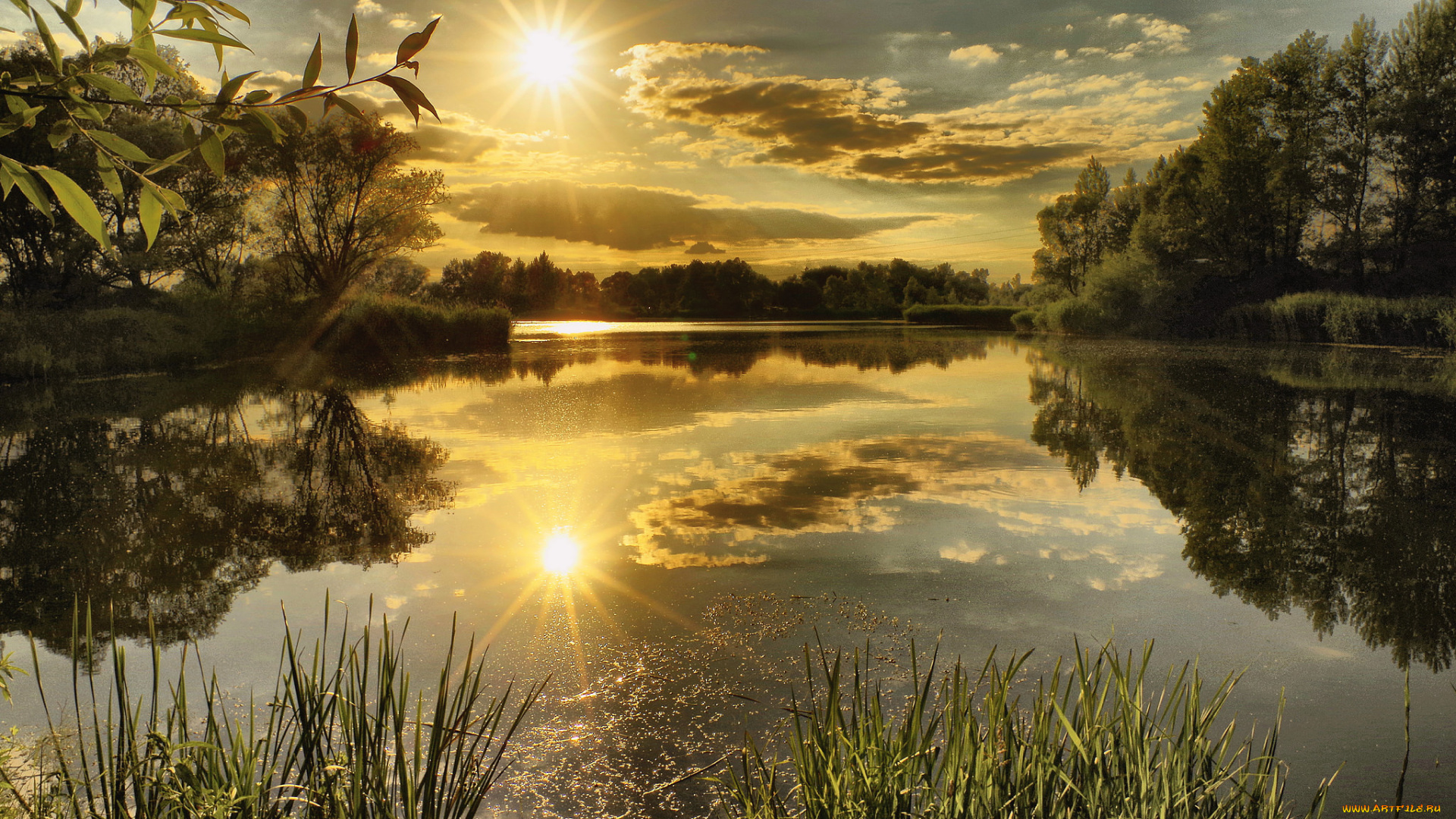 природа, восходы, закаты, река, лес