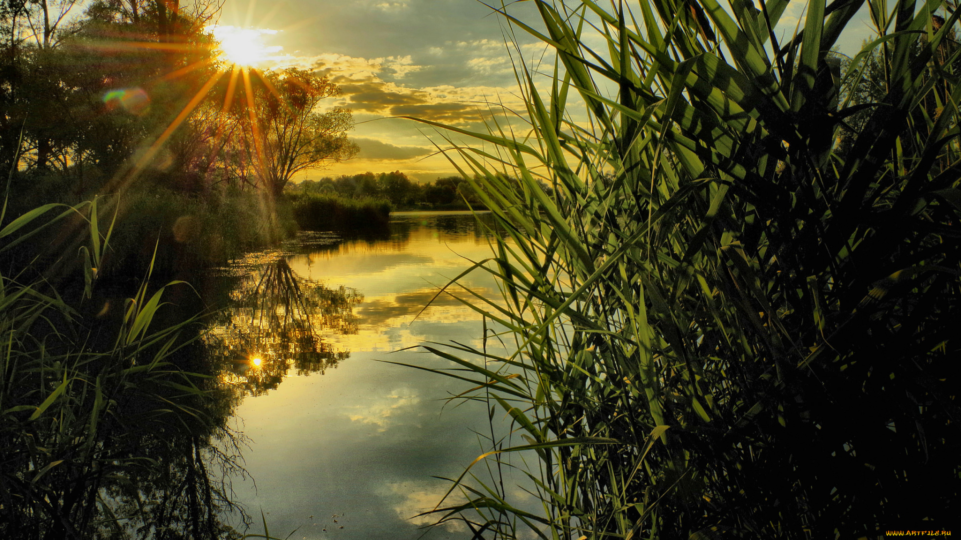 природа, восходы, закаты, река, лес