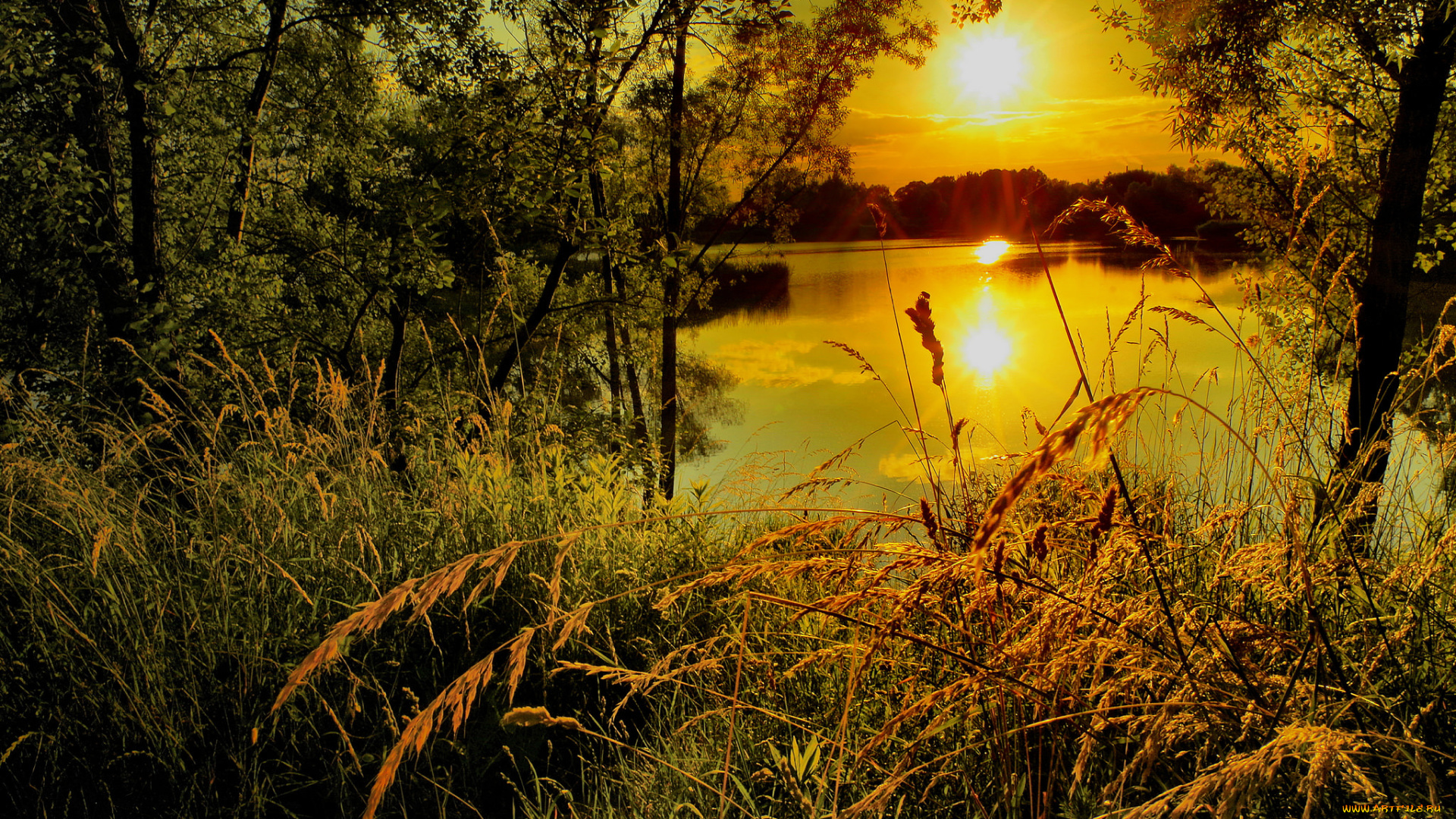 природа, восходы, закаты, река, лес