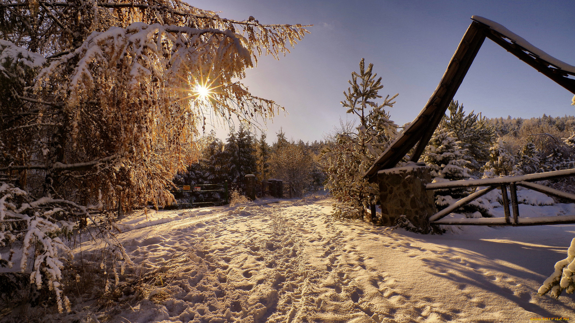 природа, зима, дорога, снег