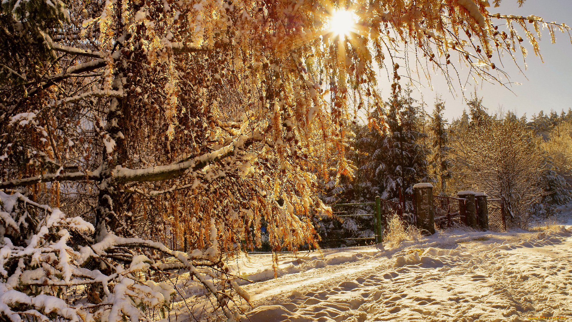 природа, зима, снег, дорога