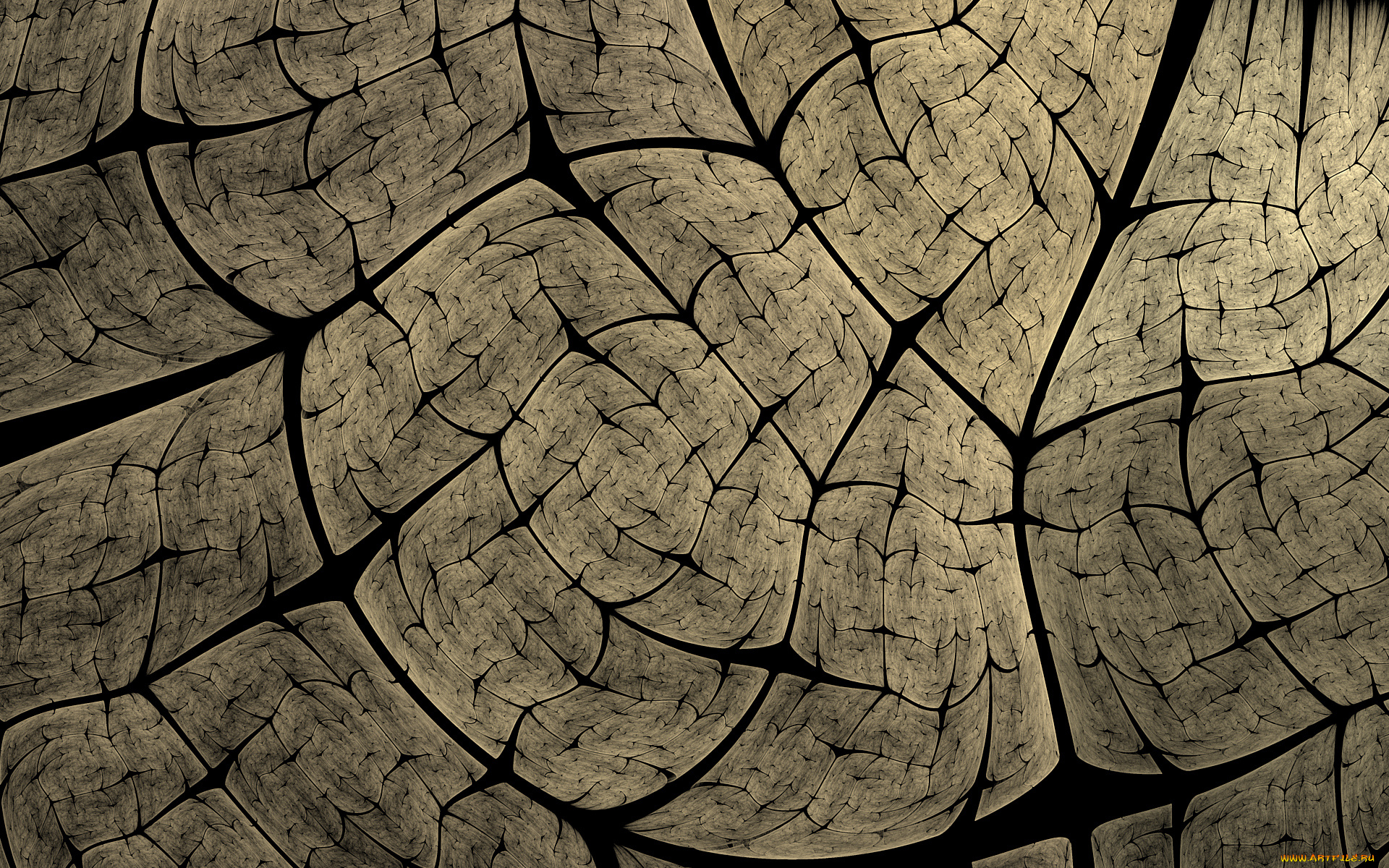 3д, графика, абстракция, , abstract, узор, фон, цвета