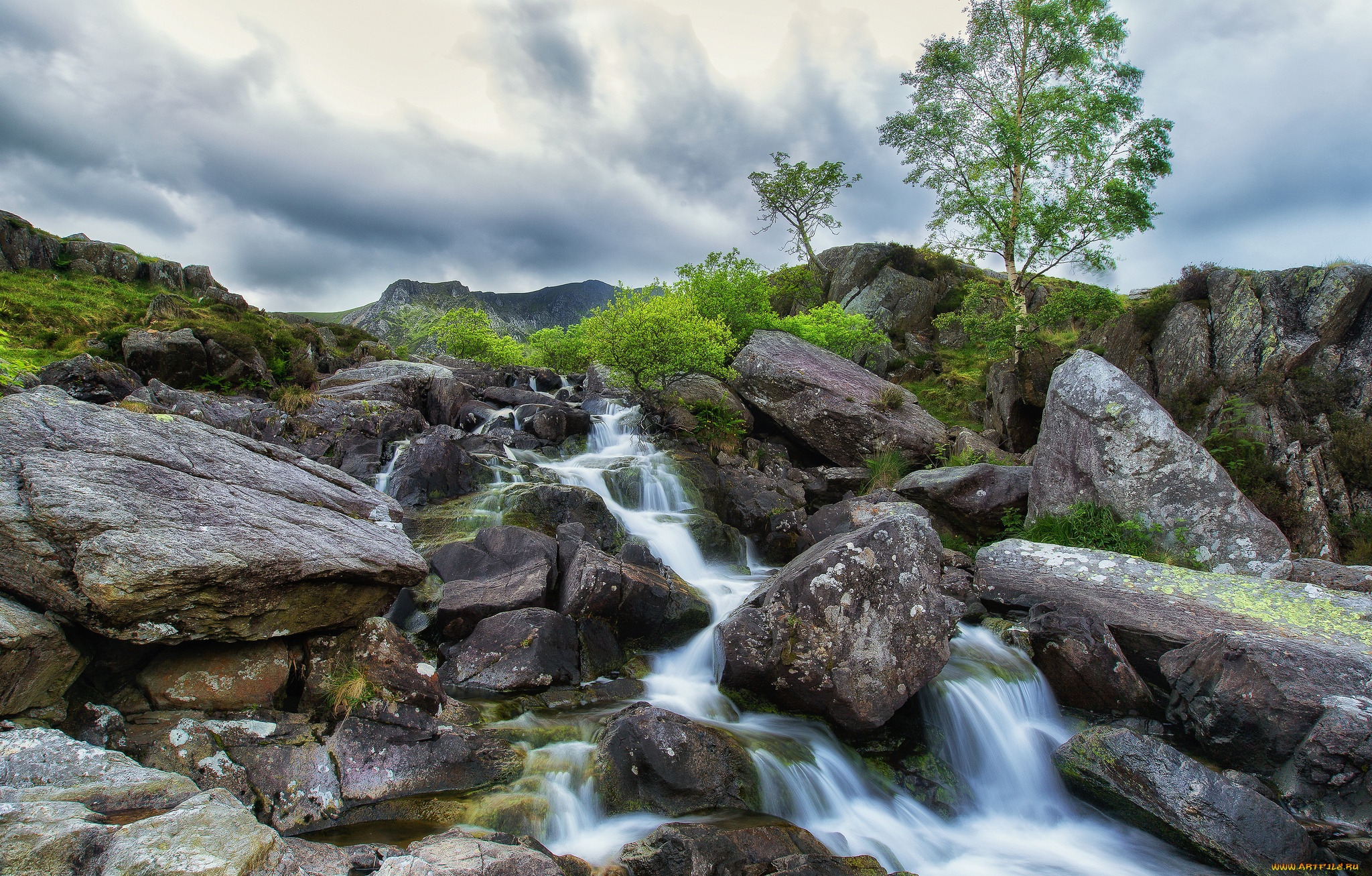 природа, реки, озера, река, лес