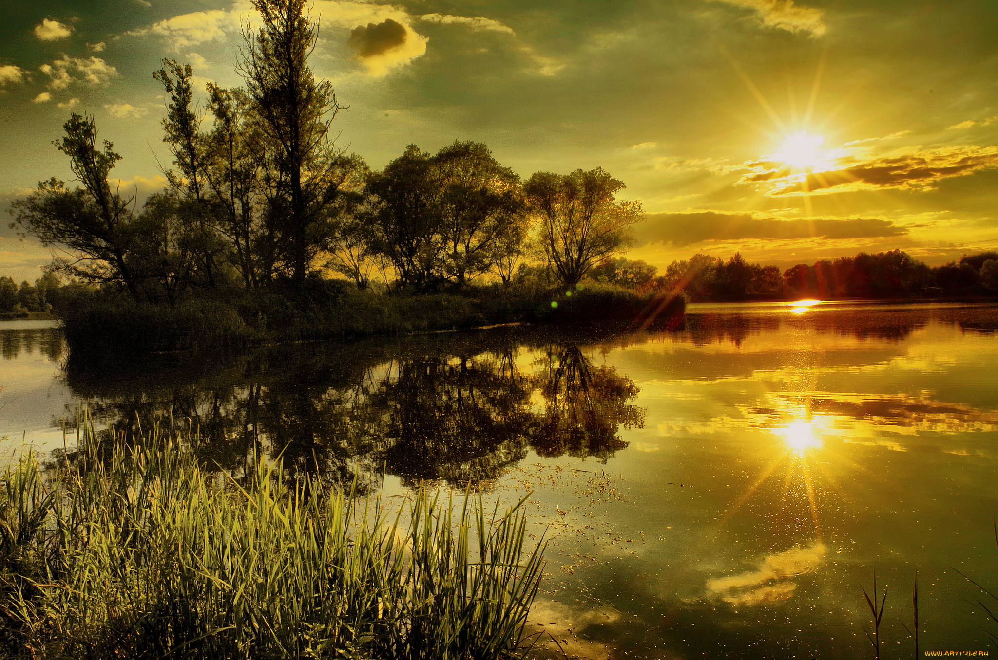 природа, восходы, закаты, лес, река