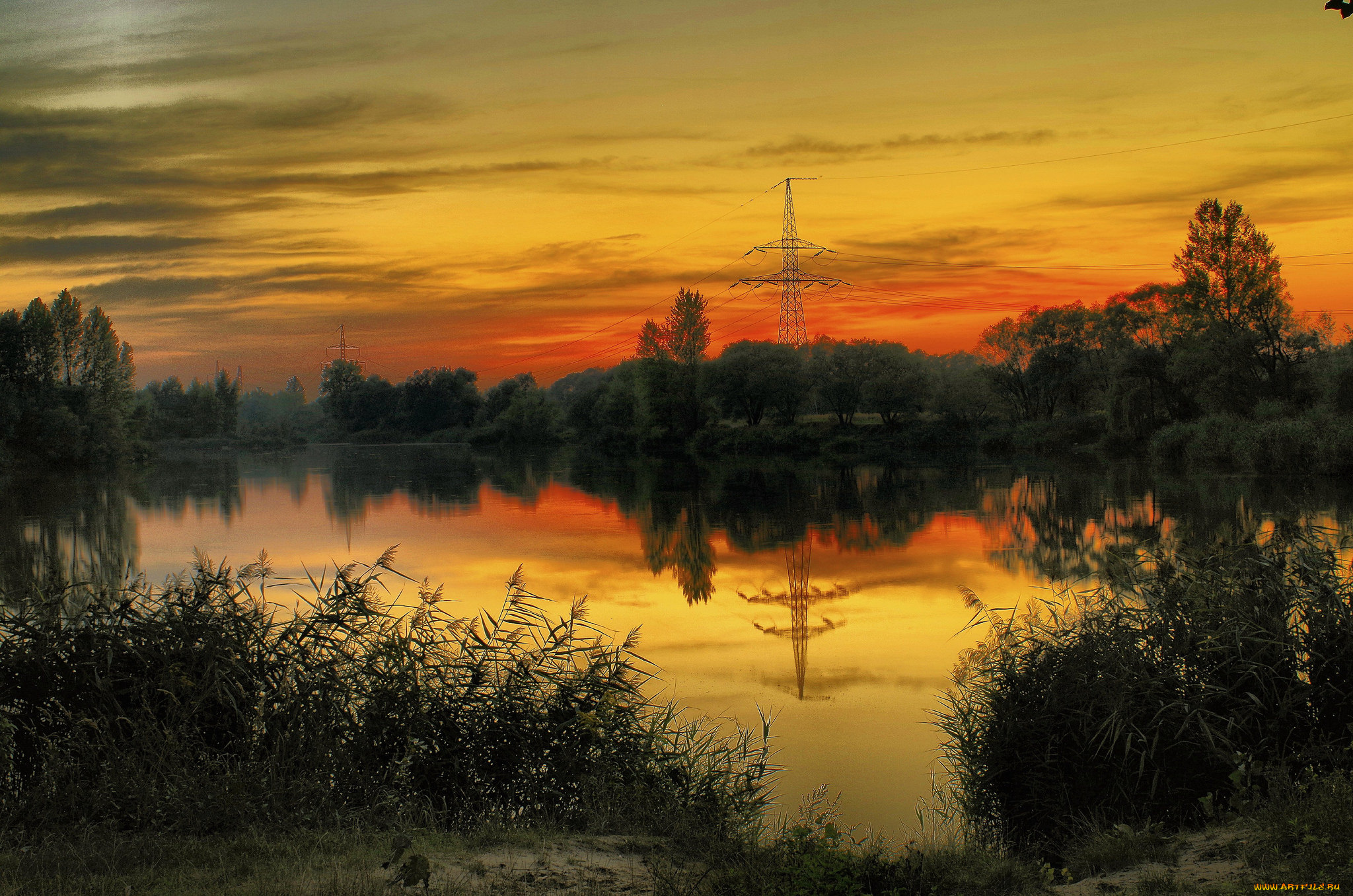 природа, восходы, закаты, река, лес