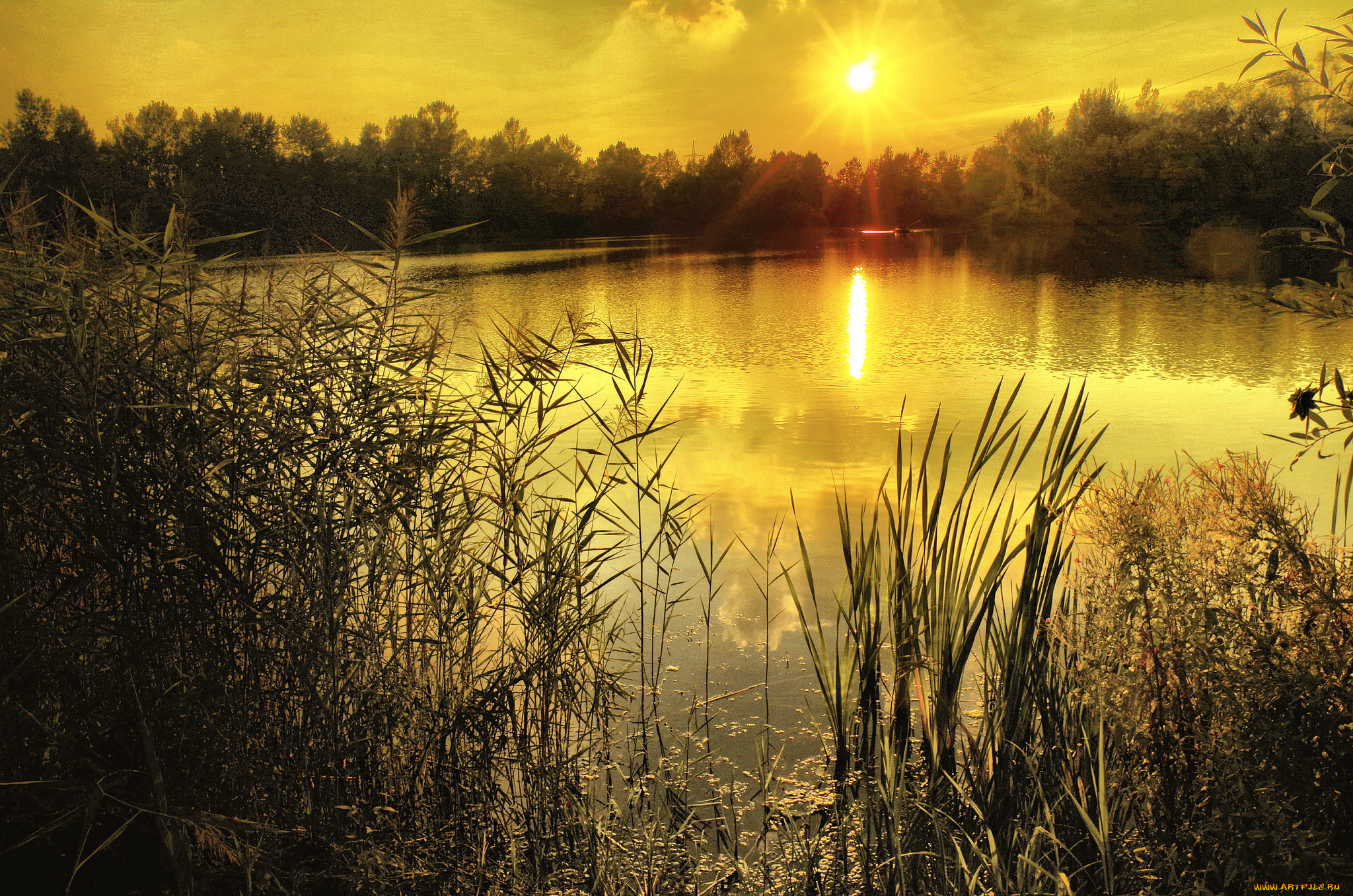 природа, восходы, закаты, река, лес