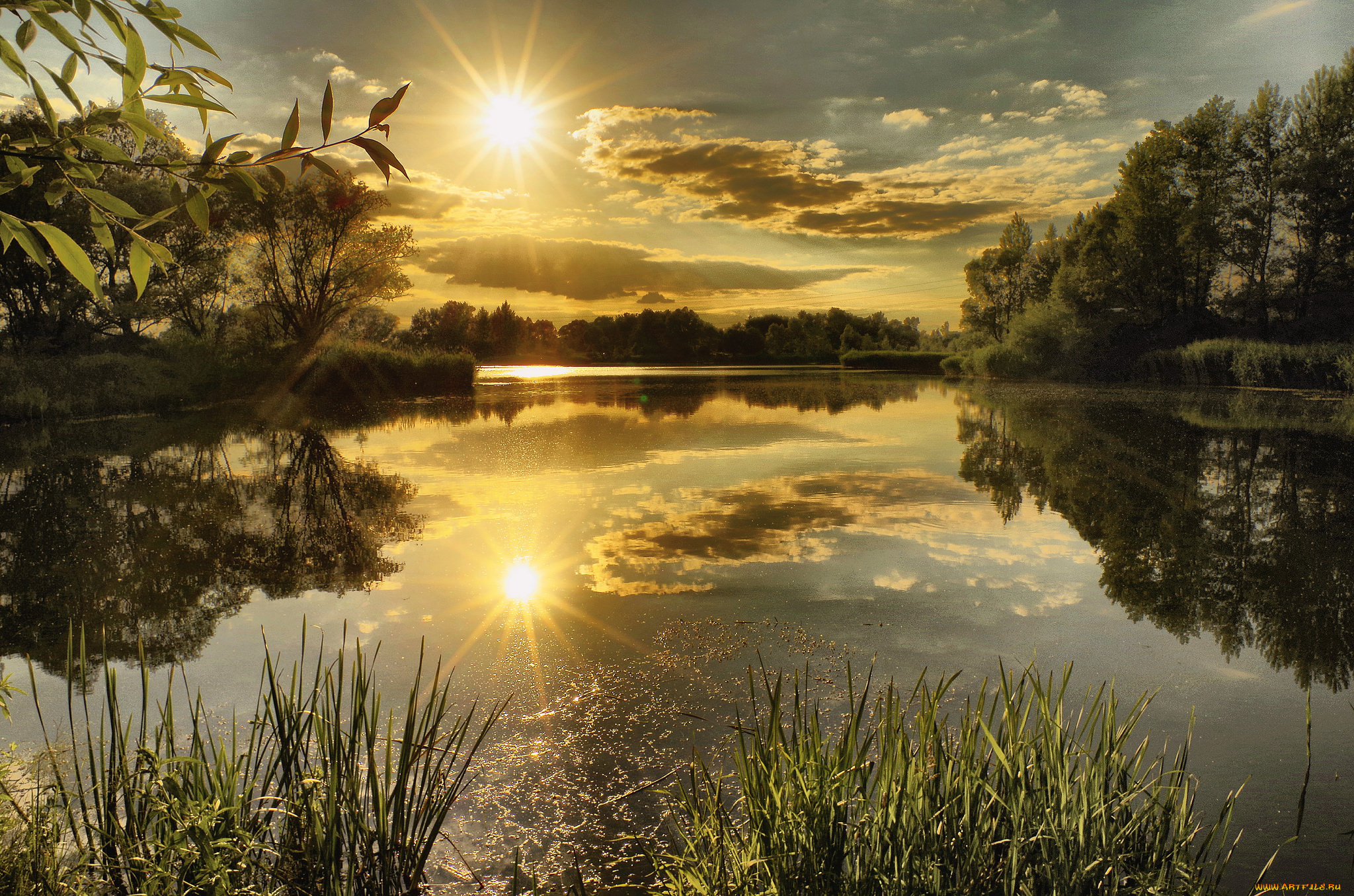 природа, восходы, закаты, река, лес