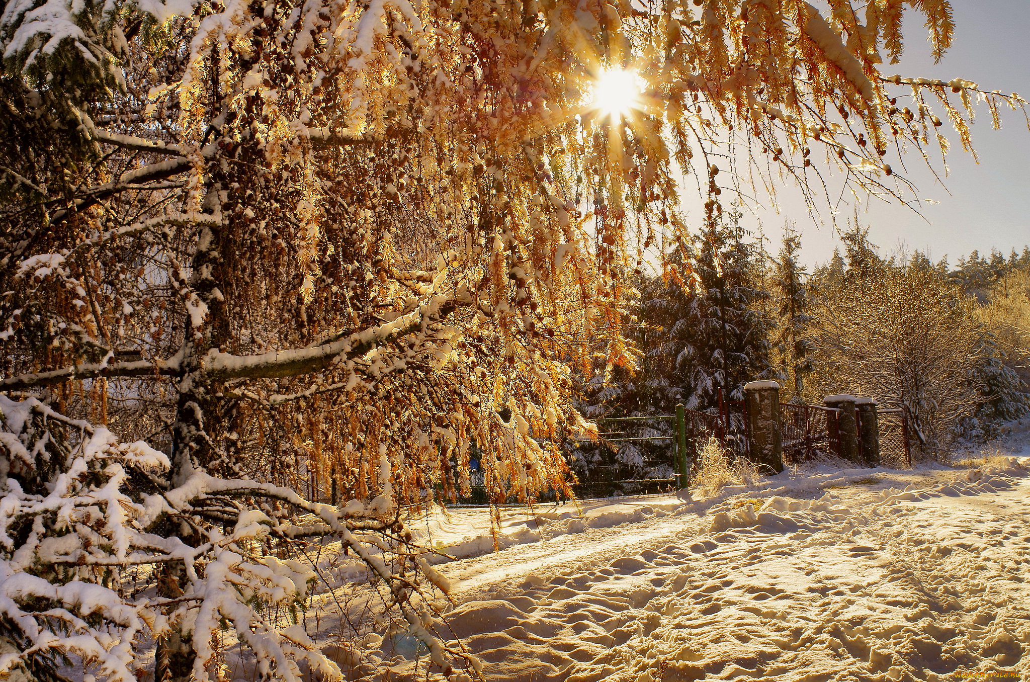 природа, зима, снег, дорога