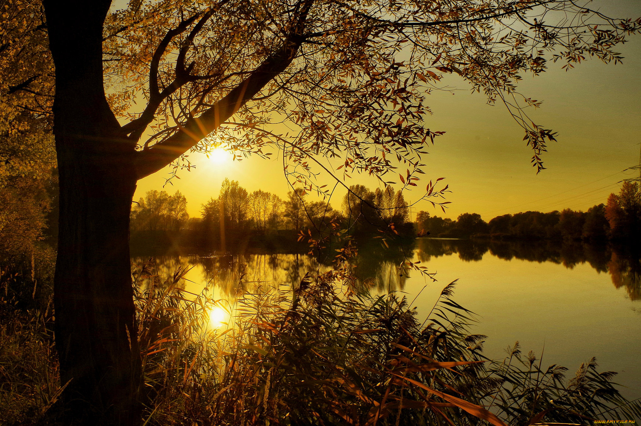 природа, восходы, закаты, река, лес