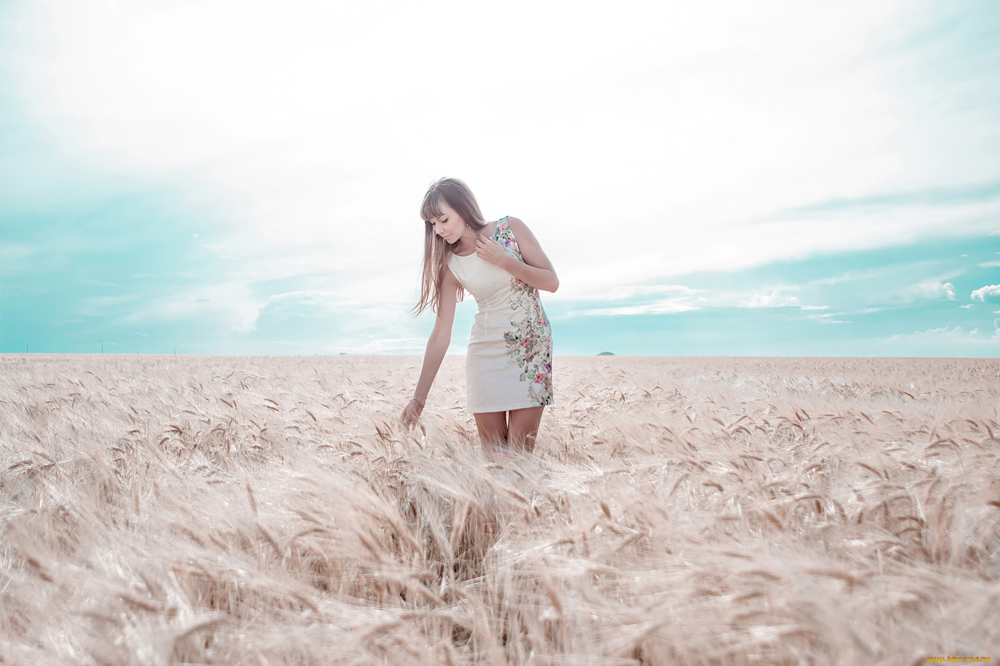 девушки, -unsort, , брюнетки, , шатенки, колосья, платье, поле, девушка