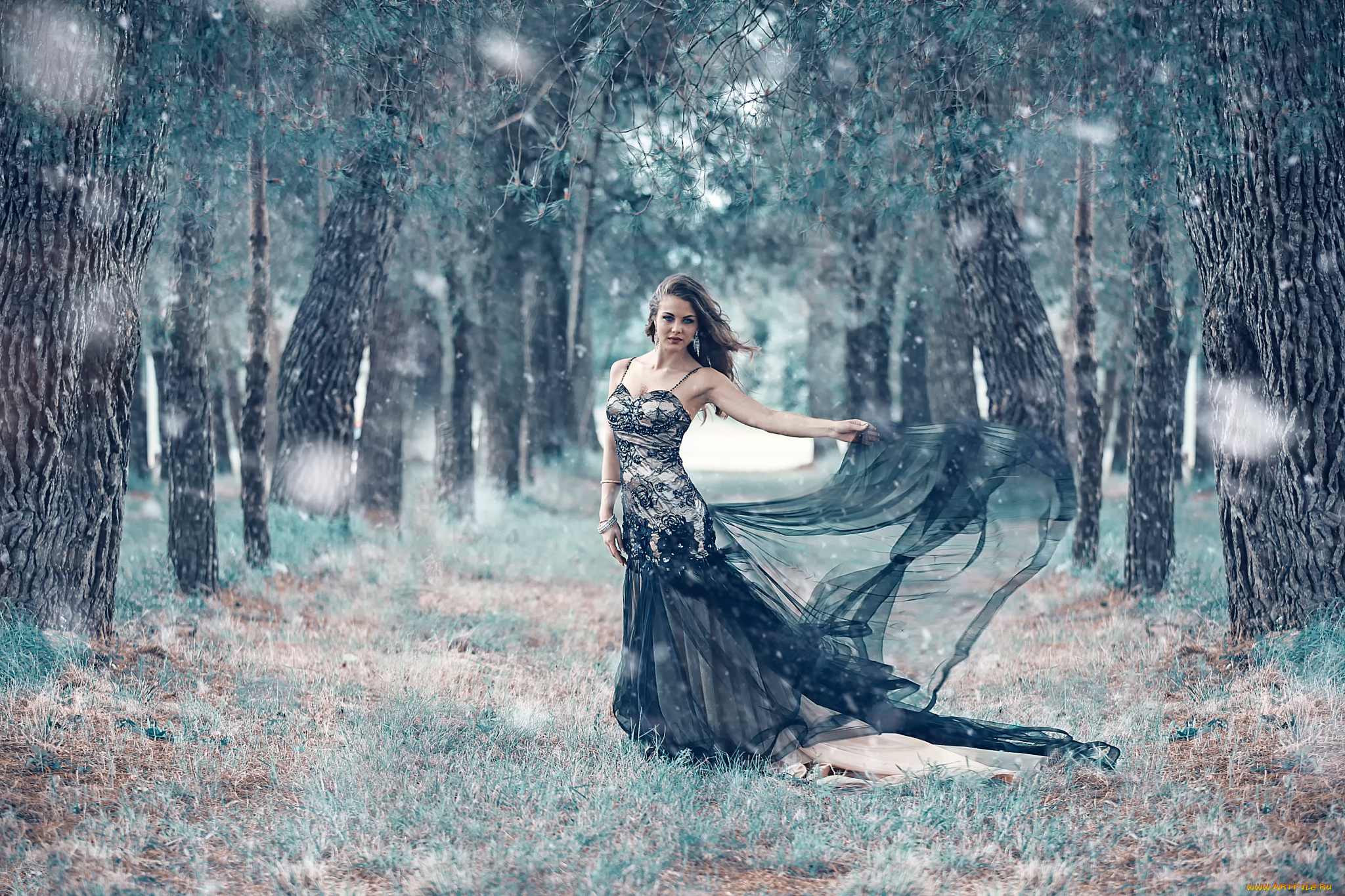 девушки, alessandro, di, cicco, аллея, платье, alessandro, di, cicco, taiga, forest