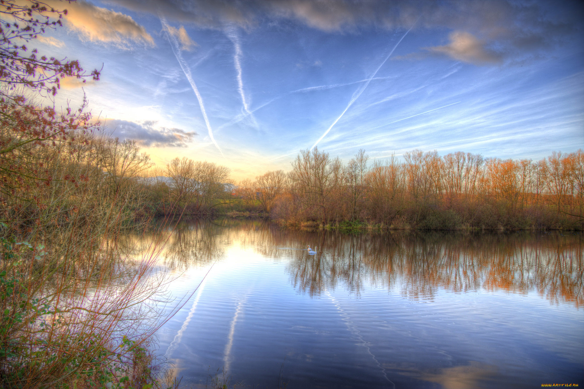 природа, реки, озера, река, лес