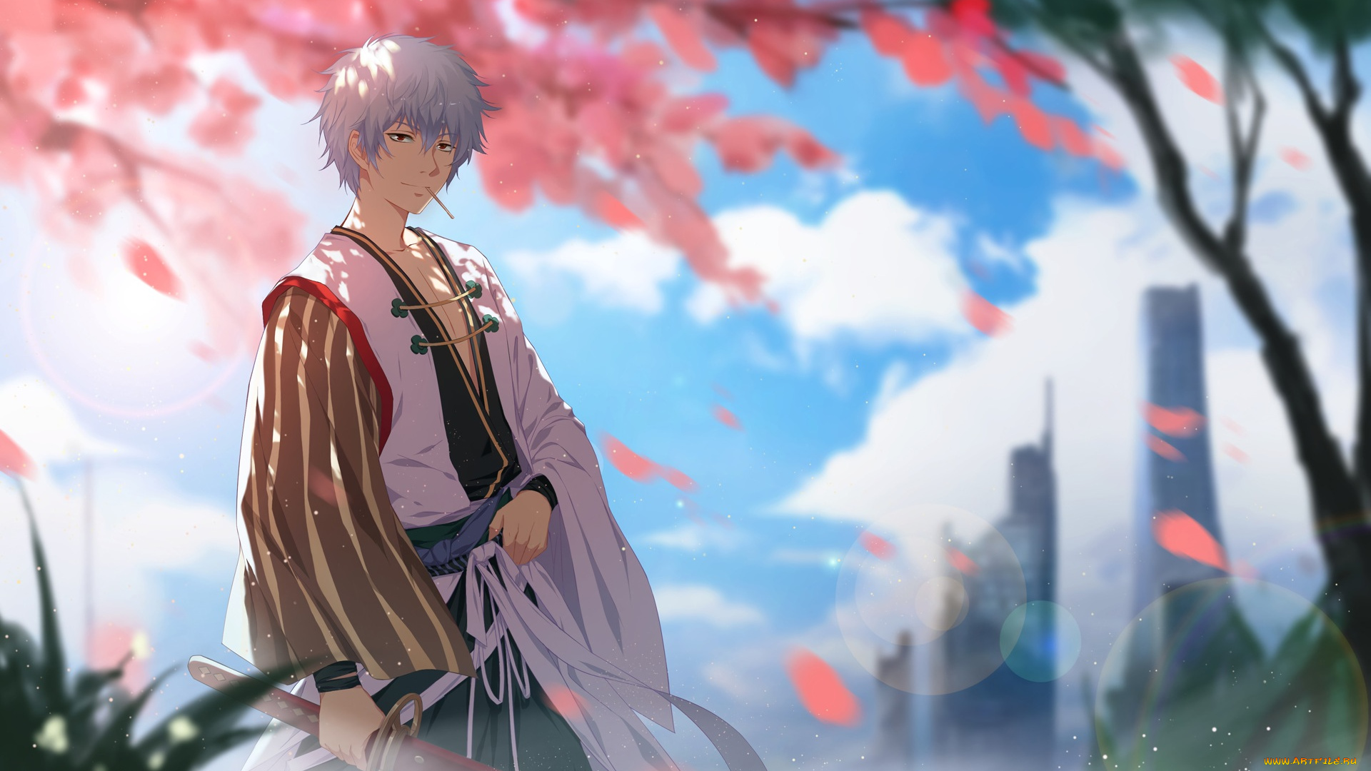 аниме, gintama, sakata, gintoki