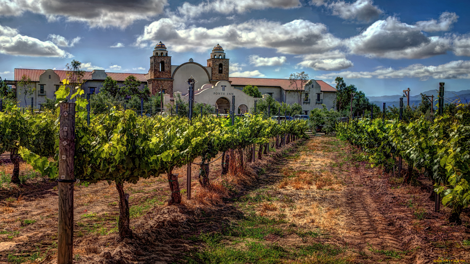 города, -, пейзажи, виноградник, поместье