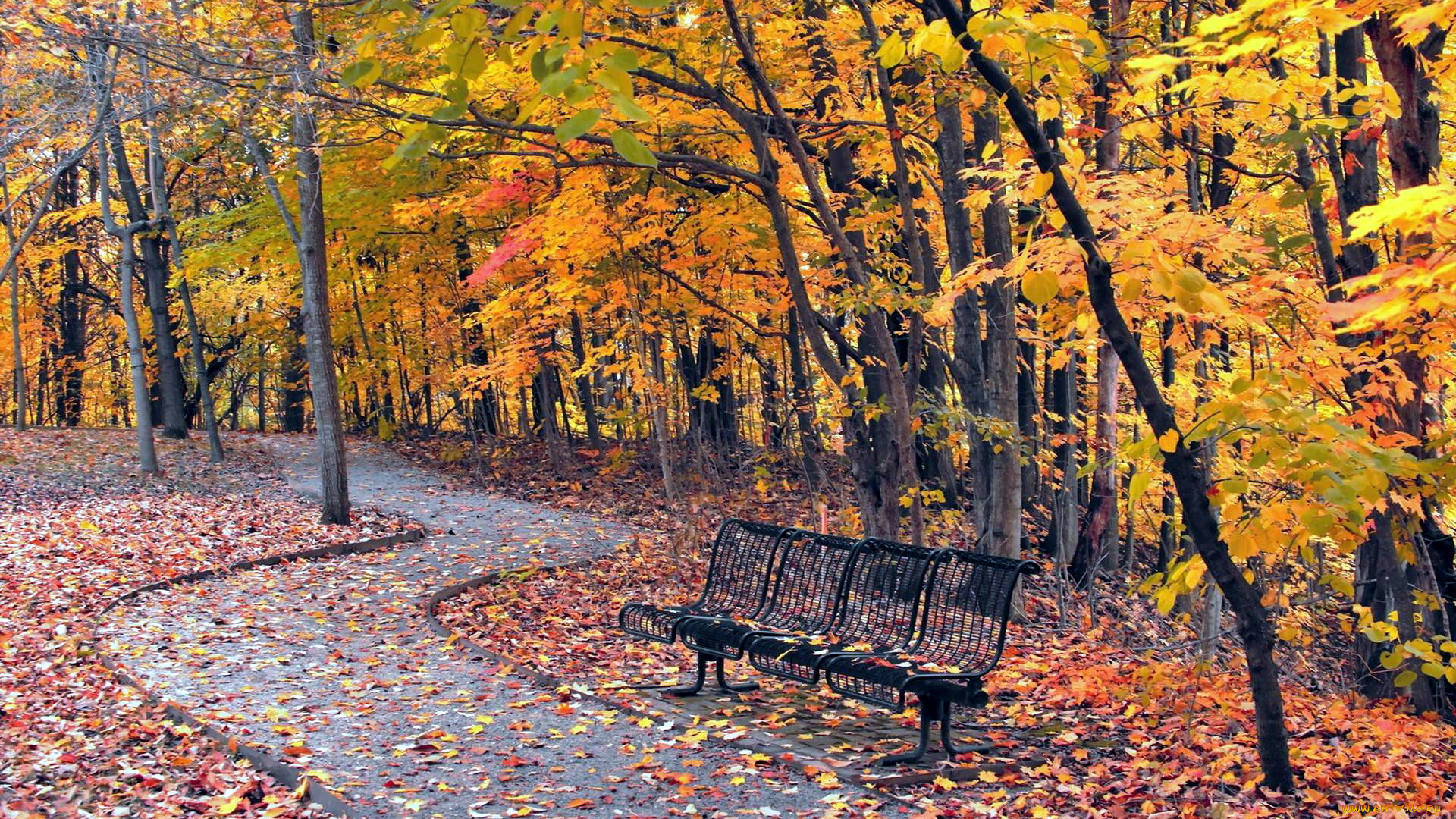 природа, парк, листопад, осень, листва, аллея, деревья, скамейка