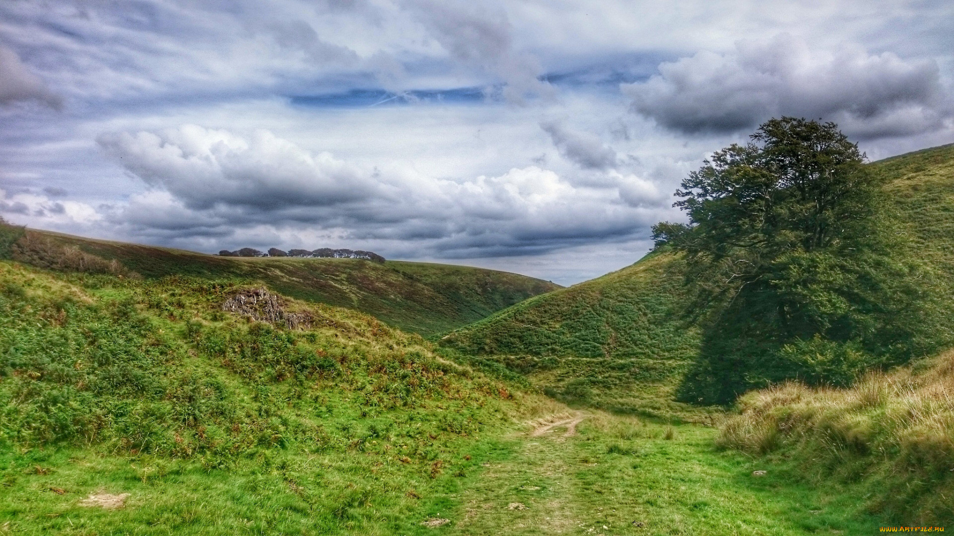 природа, пейзажи, простор