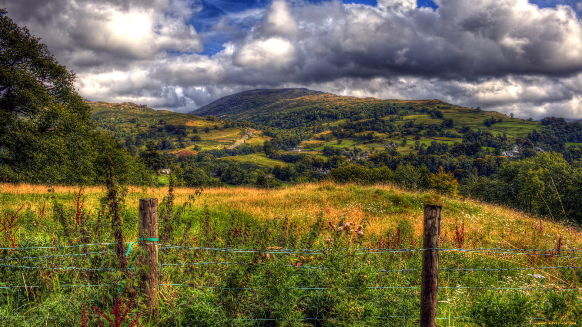 природа, пейзажи, простор