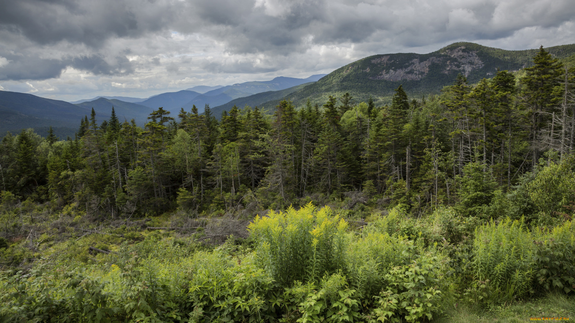 природа, пейзажи, простор