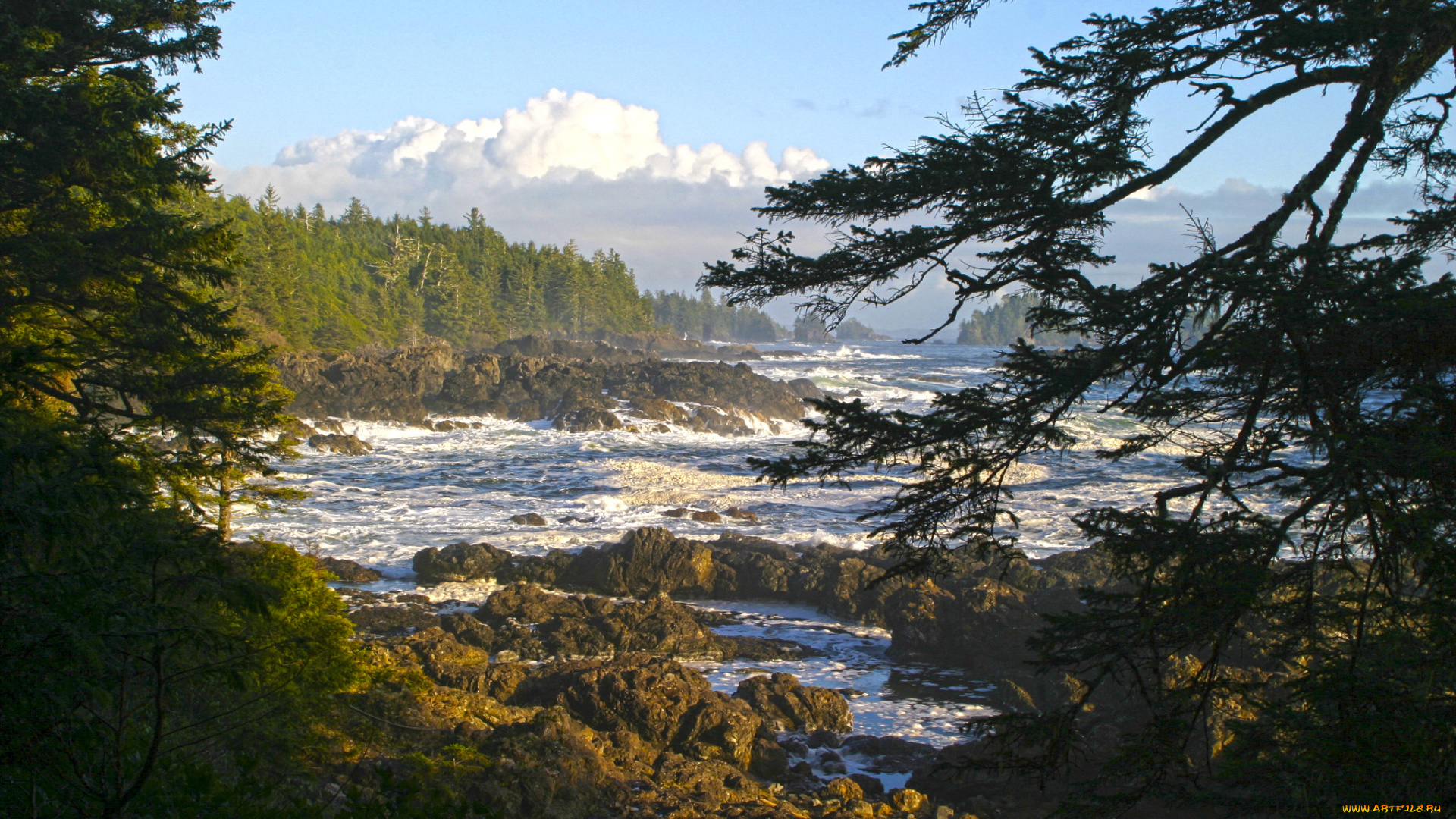 природа, побережье, море, берег