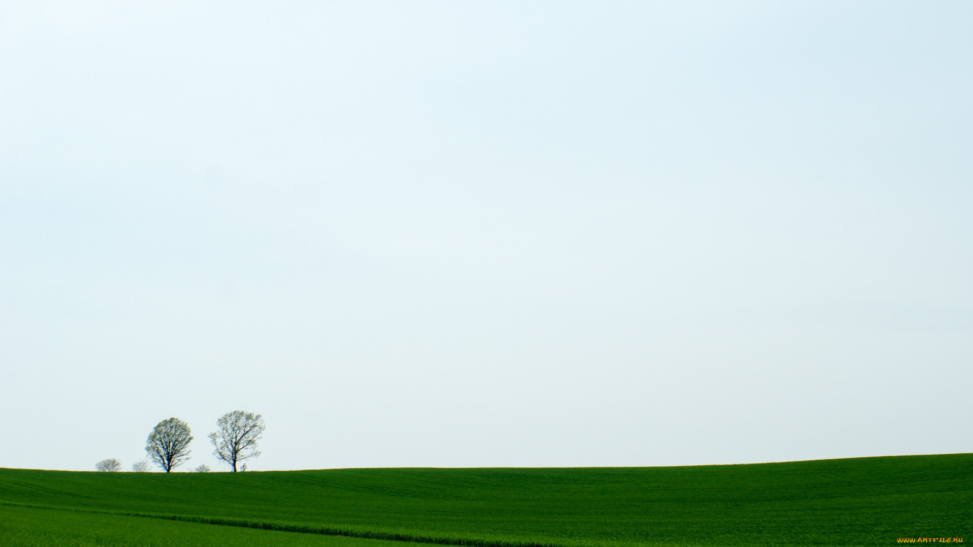 природа, поля, весна, всходы, зелень
