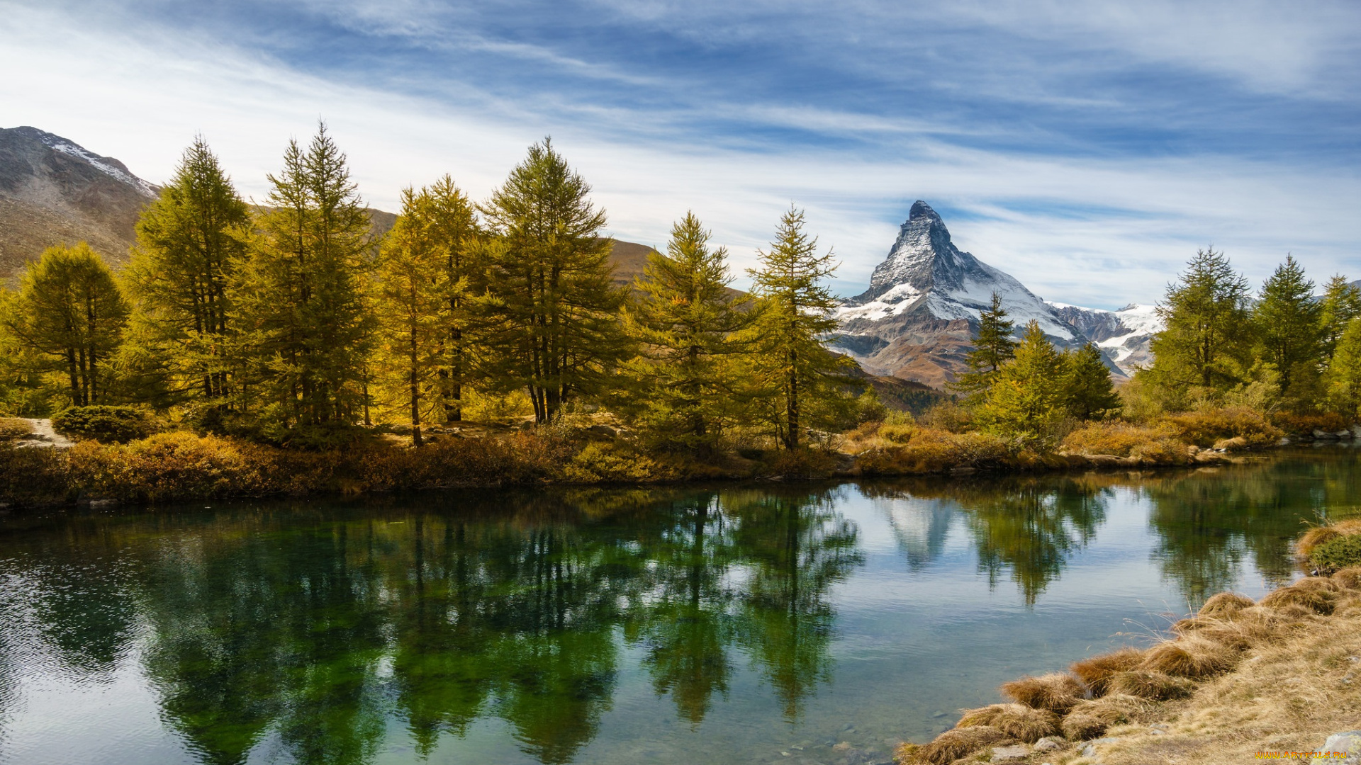 природа, реки, озера, лес, река